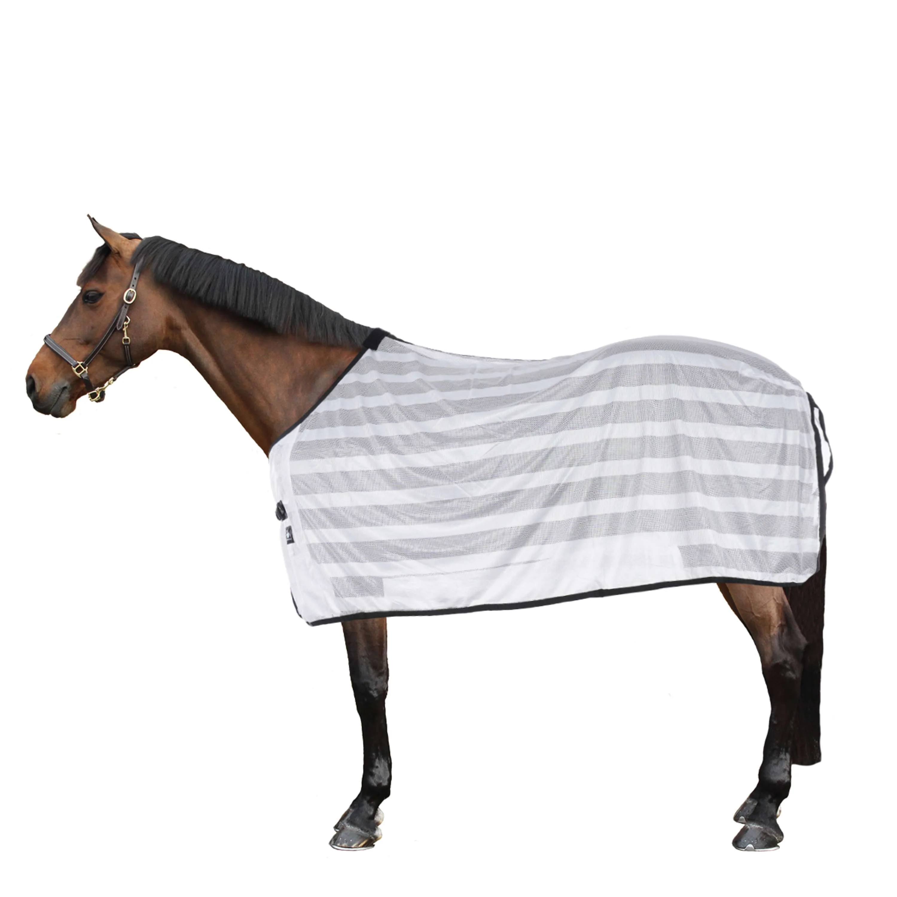 Riding World Coperta Antimosche Mesh Bianco