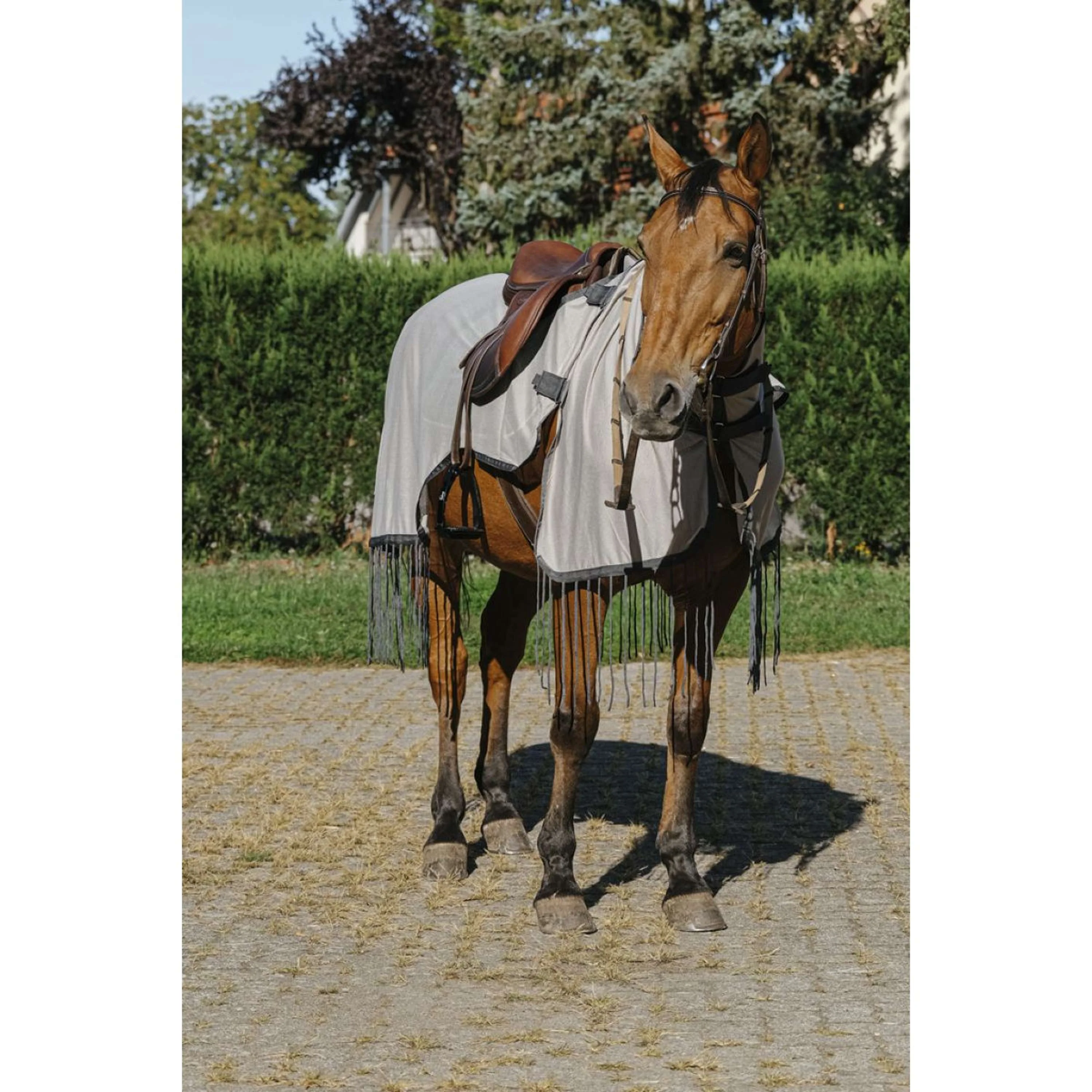 Riding World Coperta da equitazione anti-mosche Mesh Grigio - Image 2