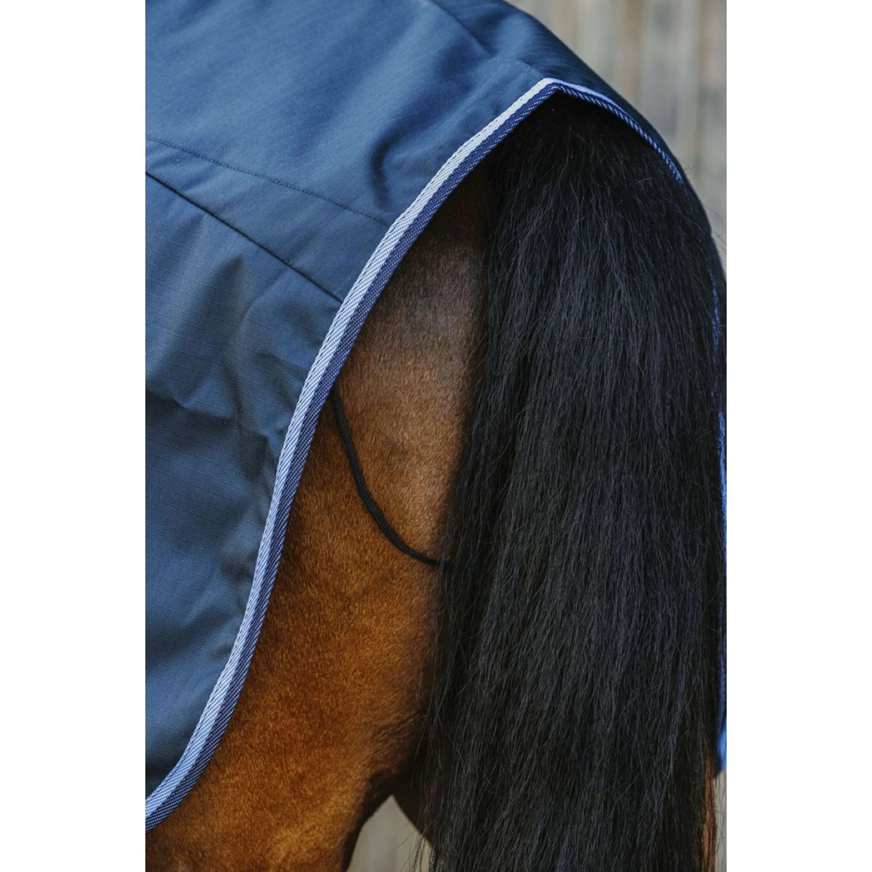 Riding World Coperta da esercizio ECO 600D Navy - Image 2