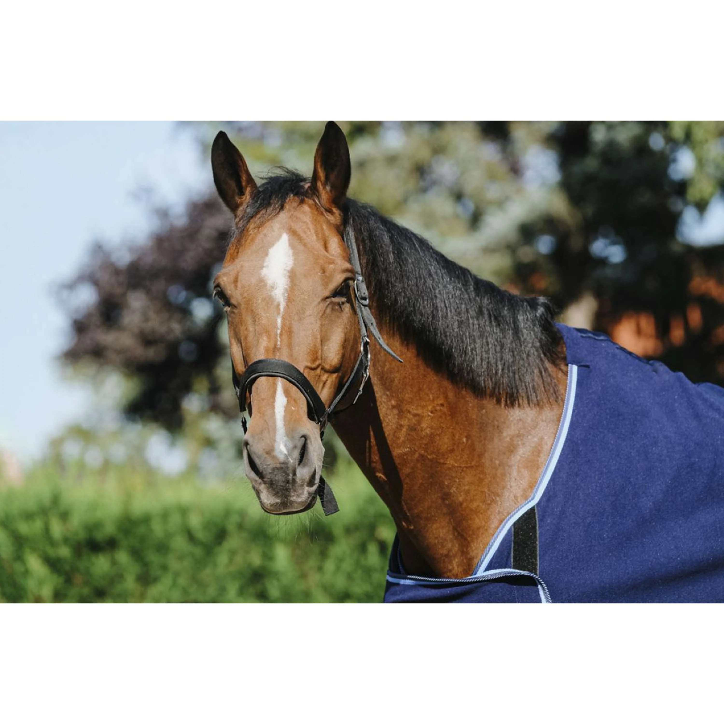 Riding World Coperta da esposizione Navy - Image 3