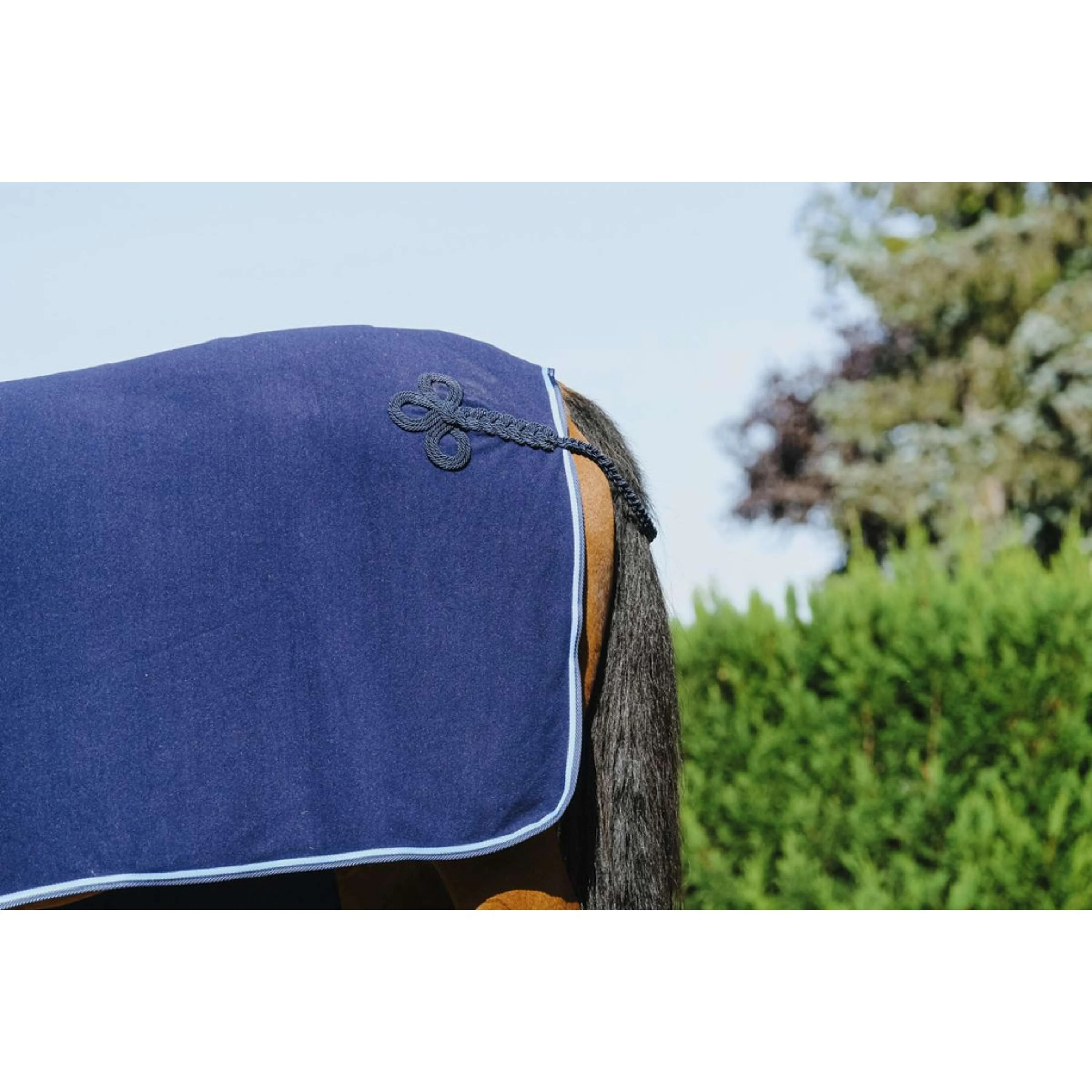 Riding World Coperta da esposizione Navy - Image 5