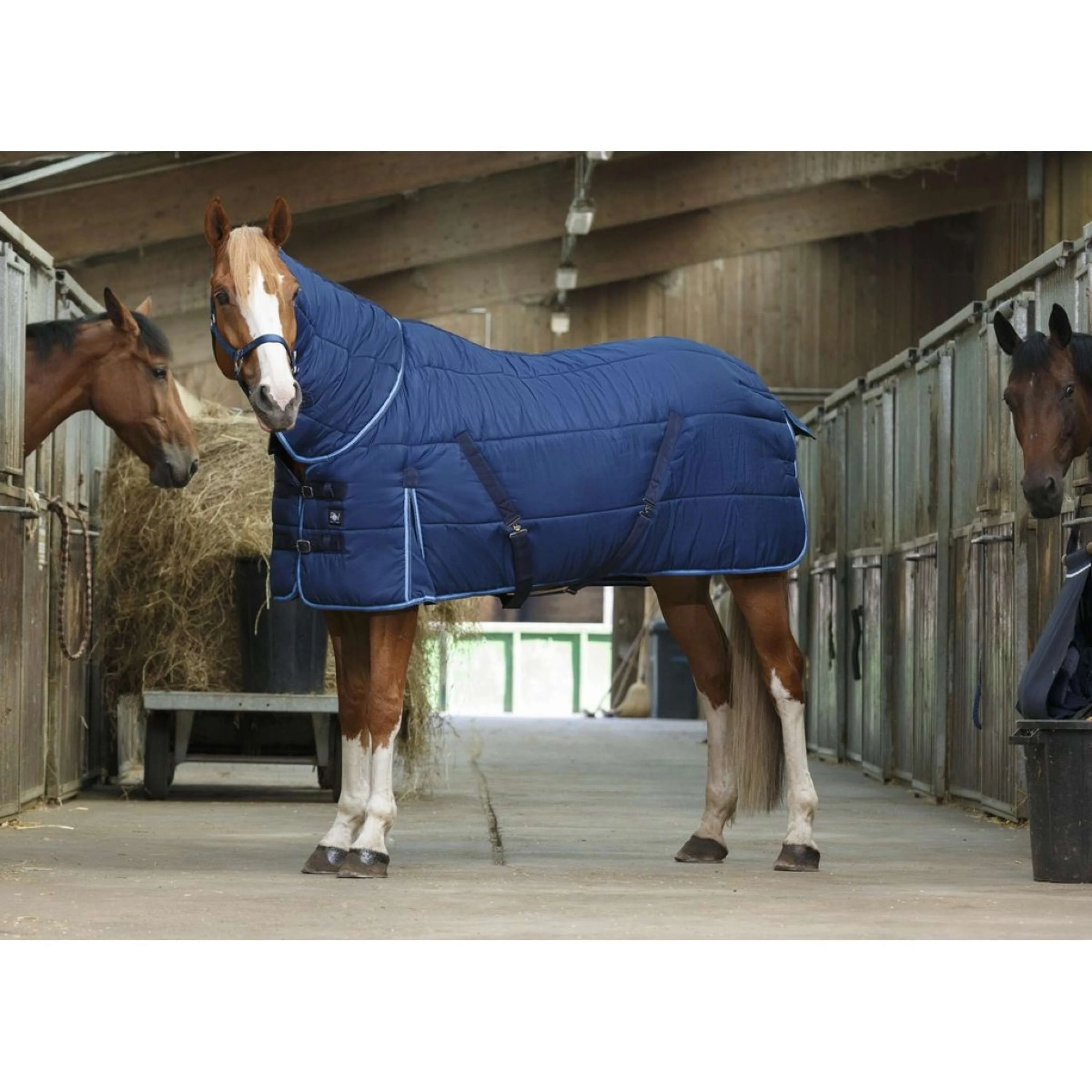 Riding World Coperta da scuderia Blu - Image 10
