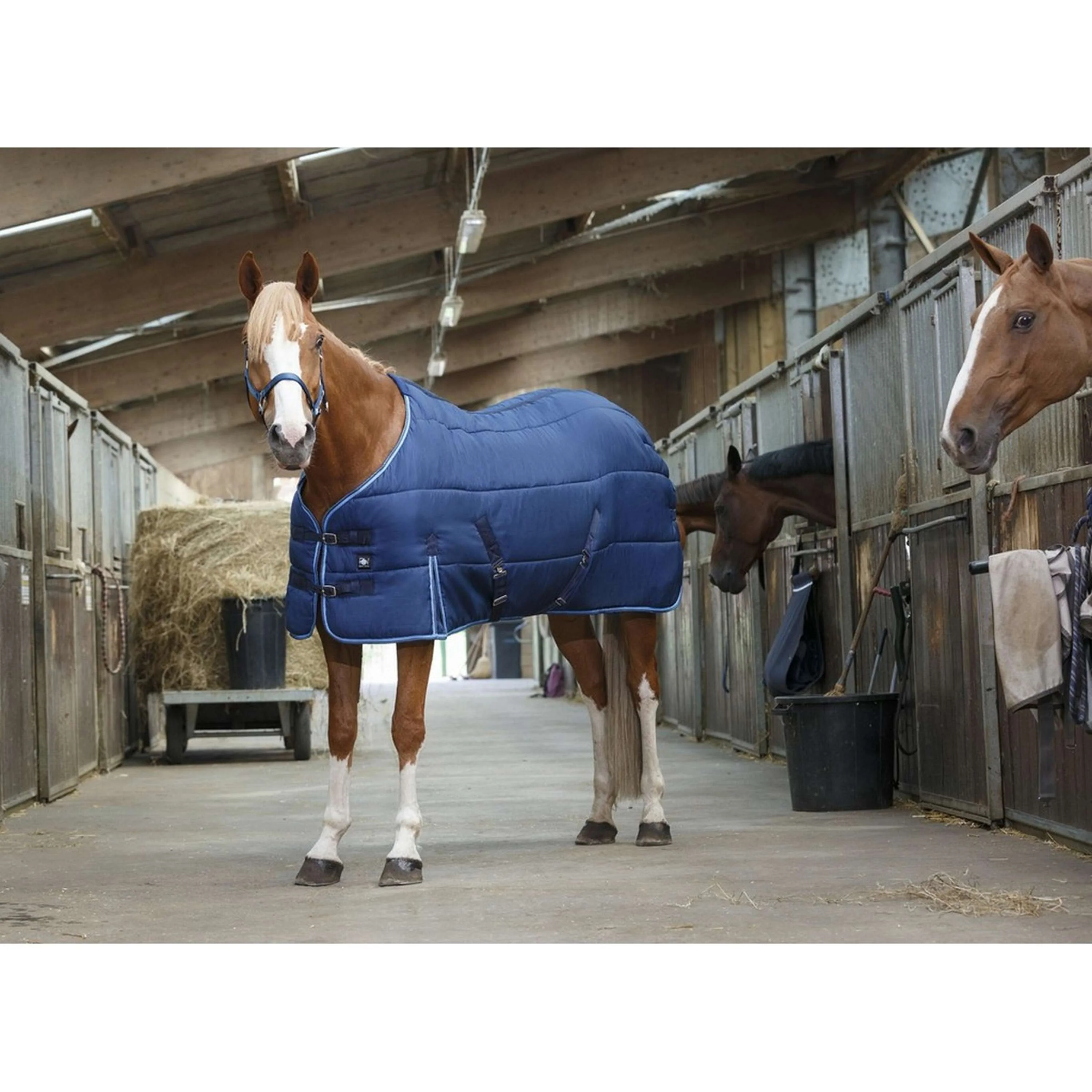 Riding World Coperta da scuderia Blu - Image 9