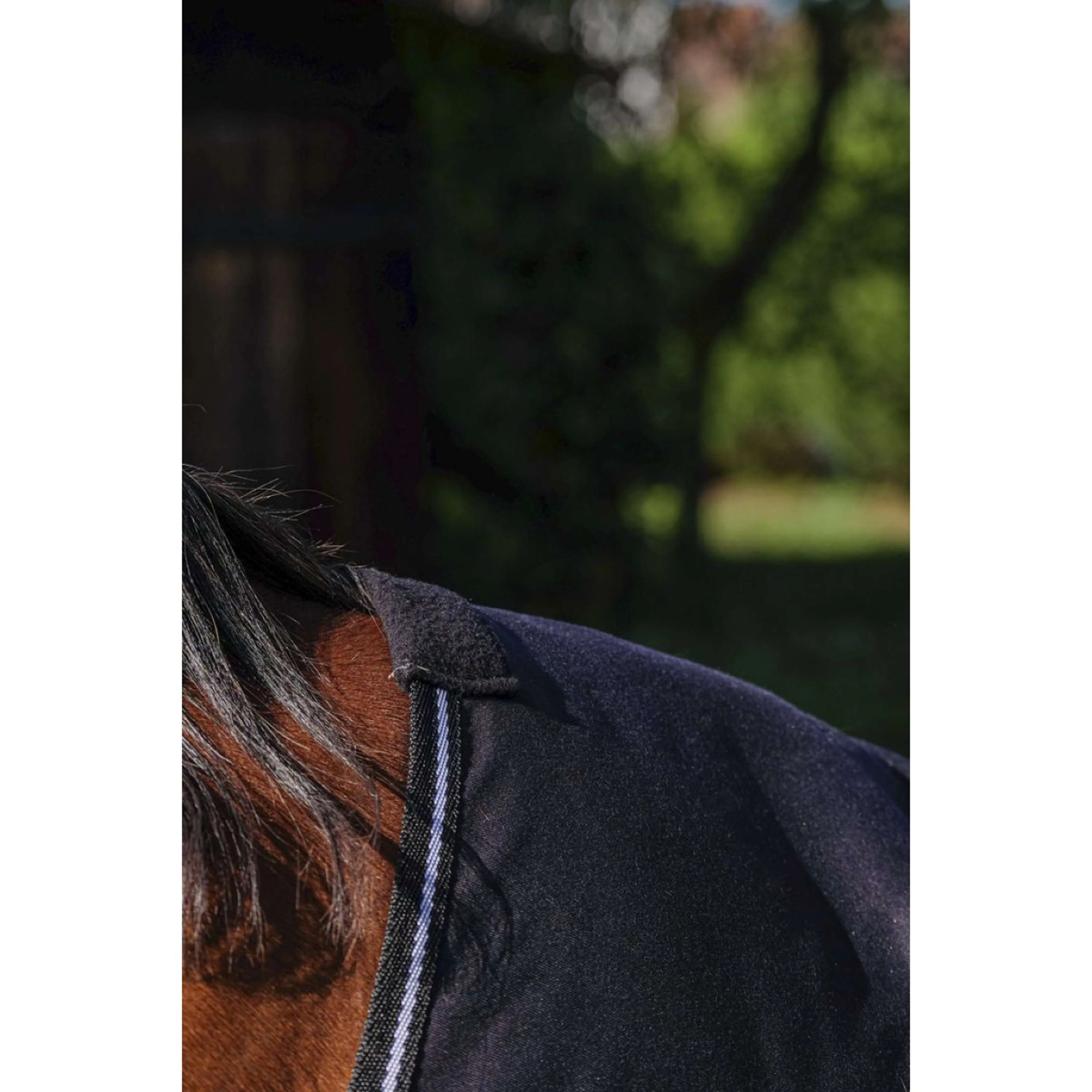 Riding World Coperta Estiva Brillante Nero - Image 3