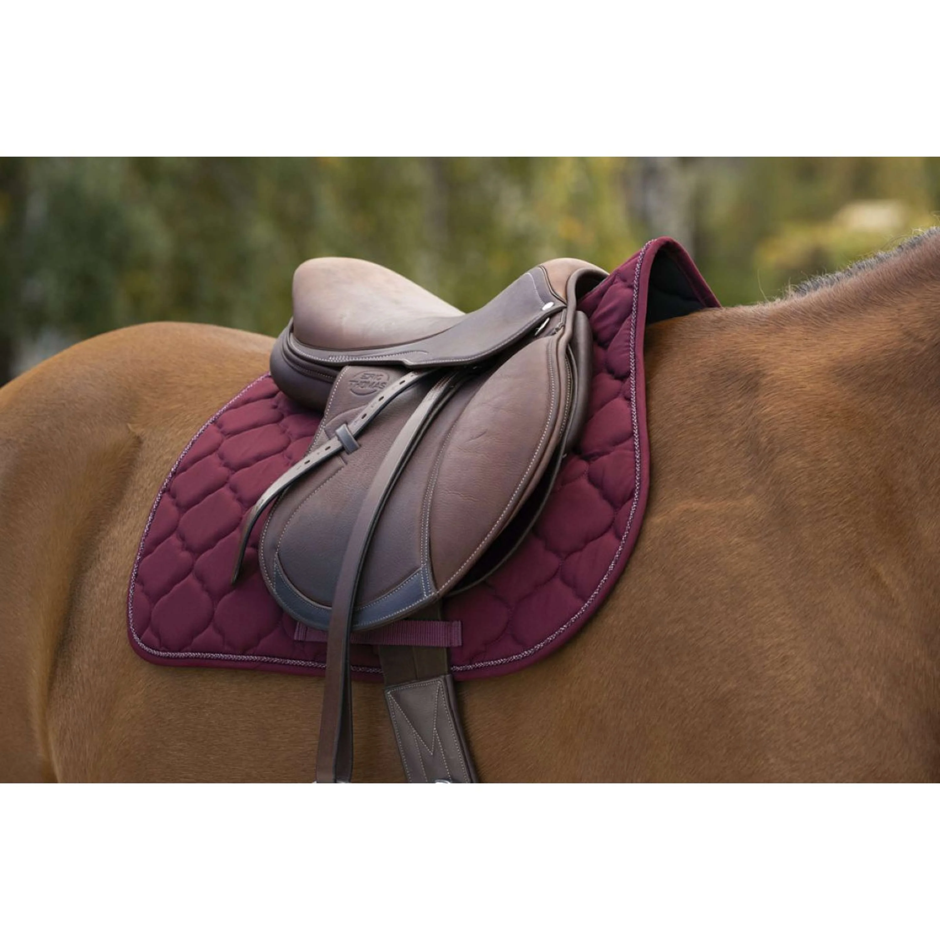 Riding World Sottosella Rope Bordeaux - Image 2
