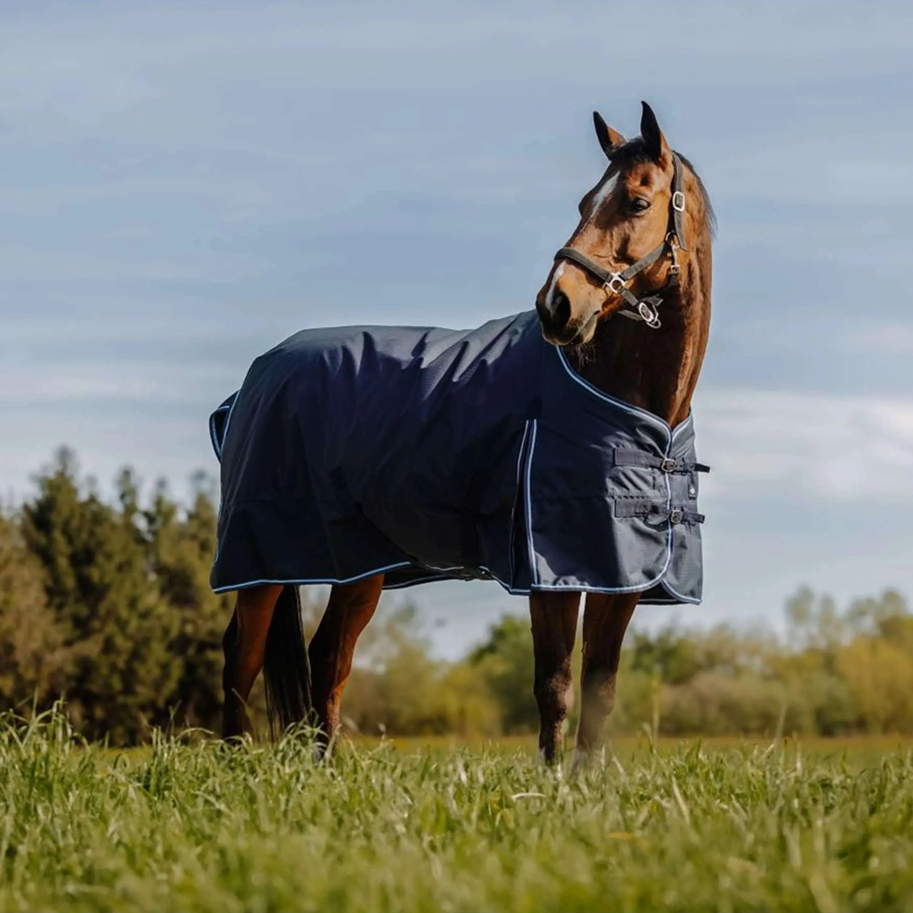 Riding World Tappeto da Esterno Eco 600D 50g Navy