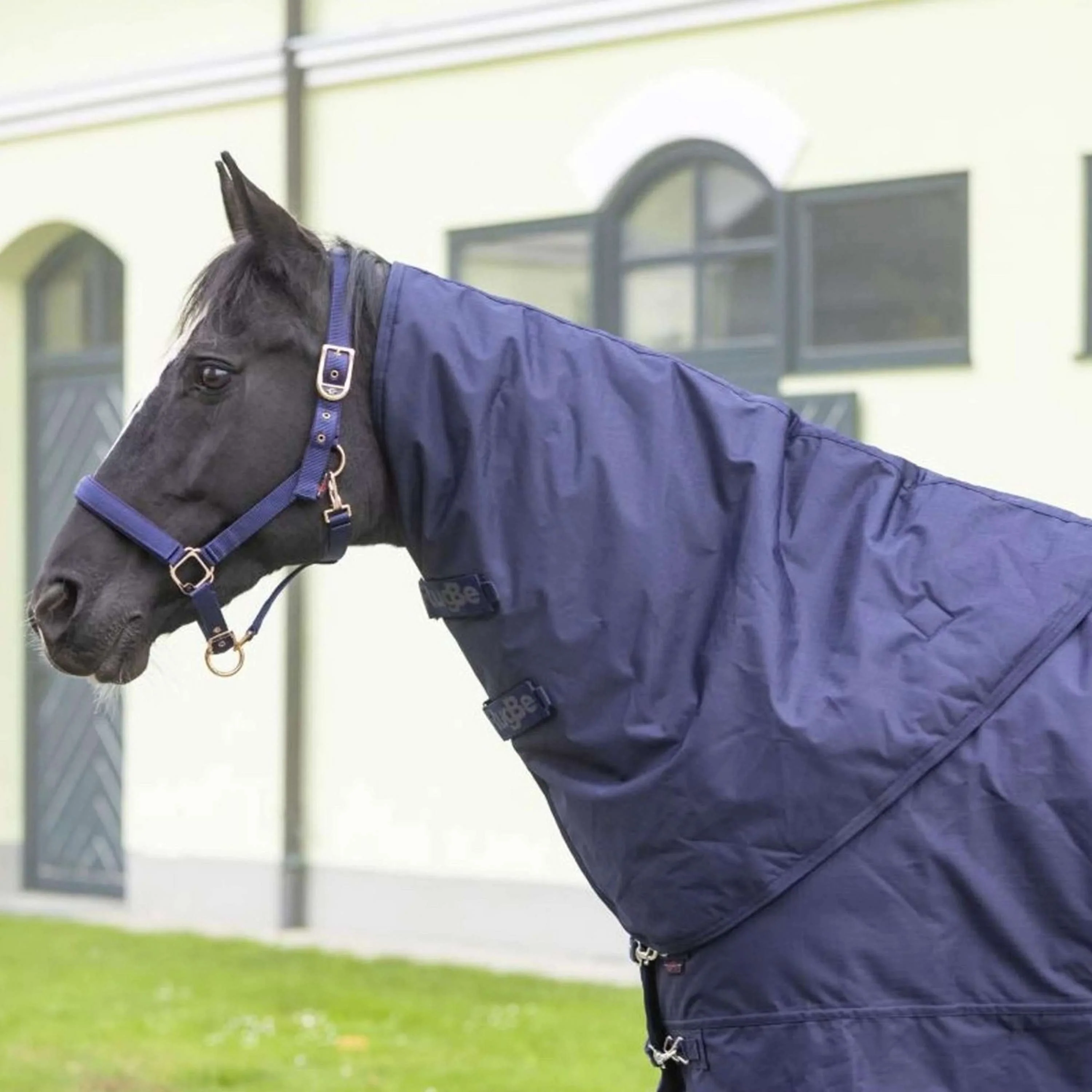RugBe by Covalliero Copricollo IceProtect Dark Navy