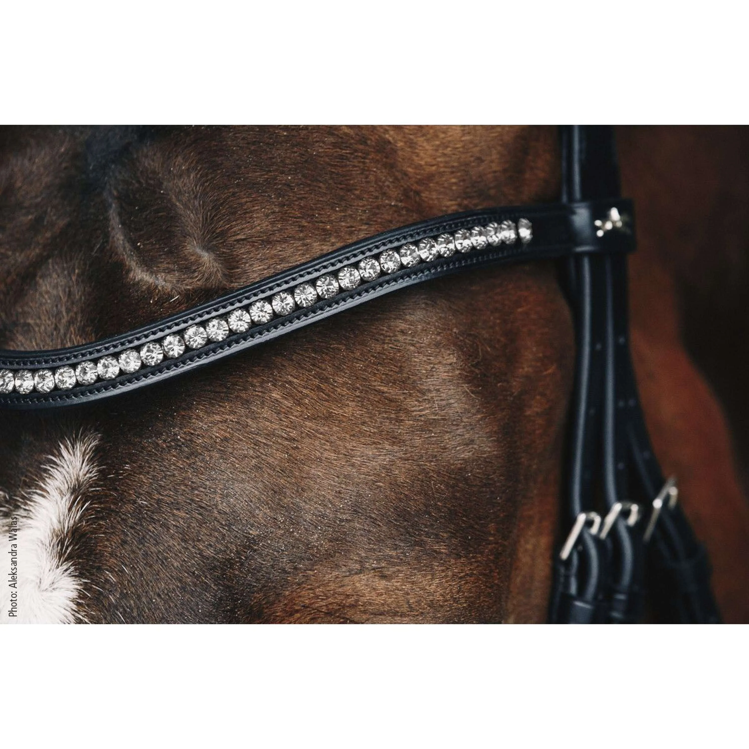 Schockemöhle Frontalino Diamond Select Nero/Grigio