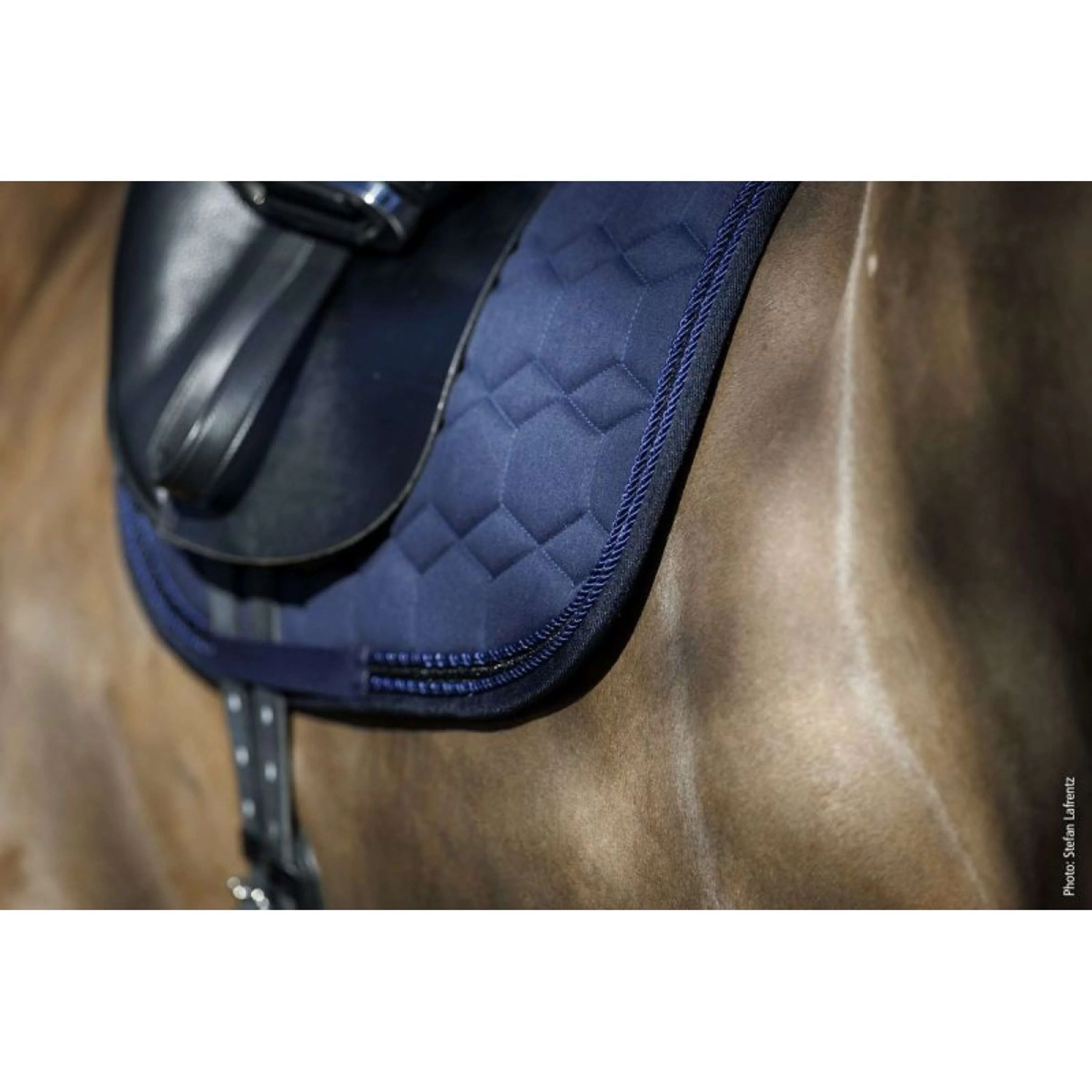 Schockemöhle Sottosella High Density Dressage Marina oscura - Image 3