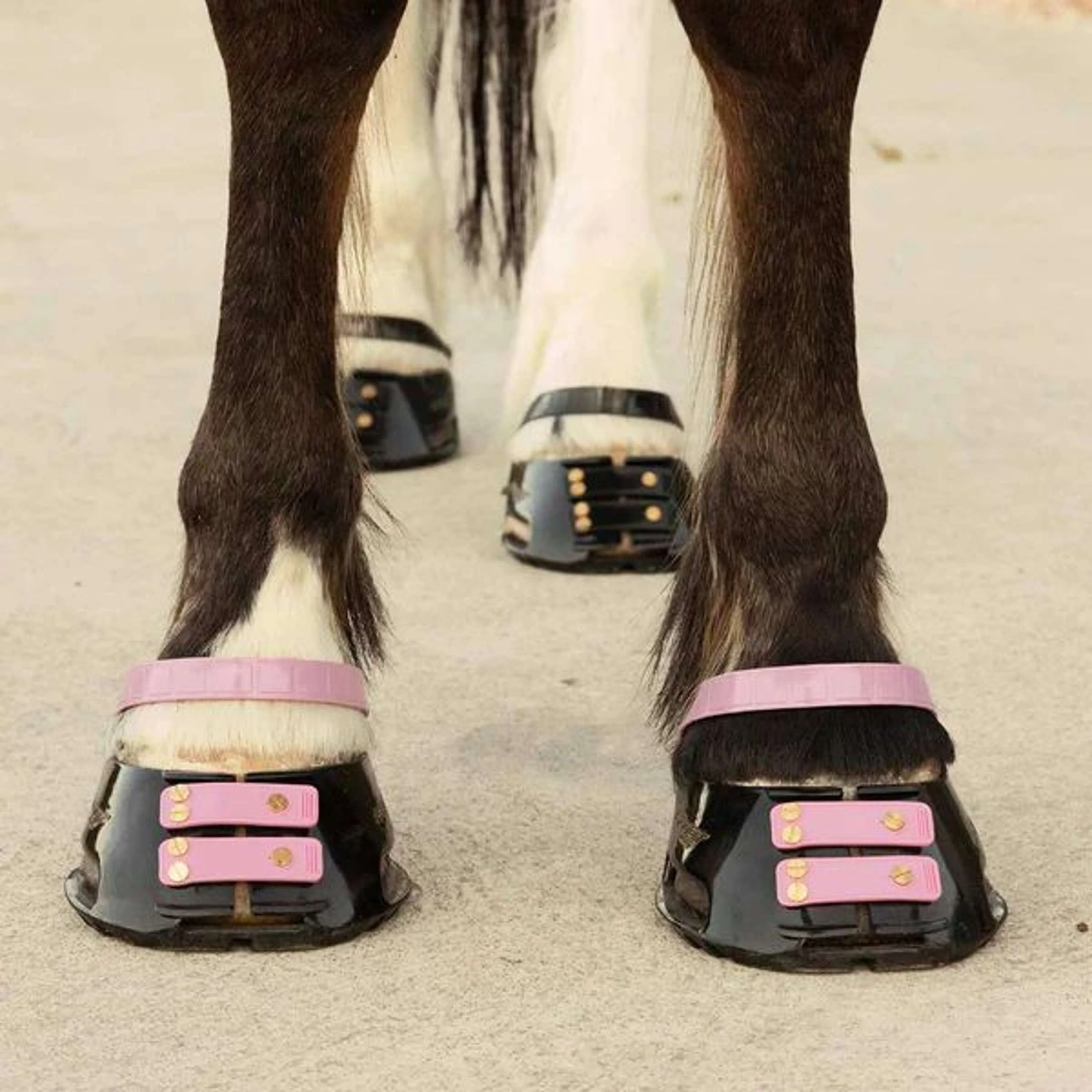 Scoot Boot Cinghia per pastorale Blossom - Image 2