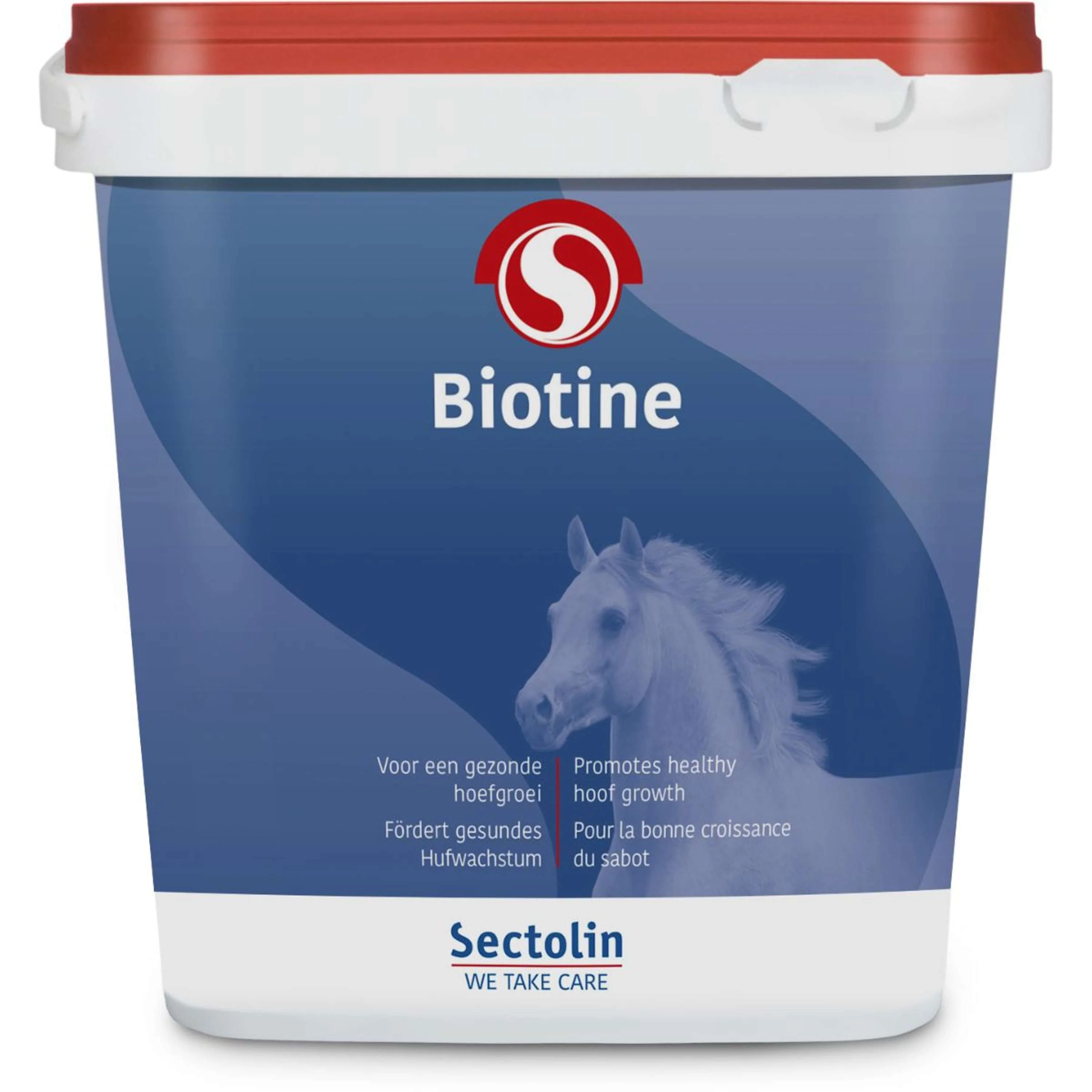 Sectolin Biotina Equivital - Image 8