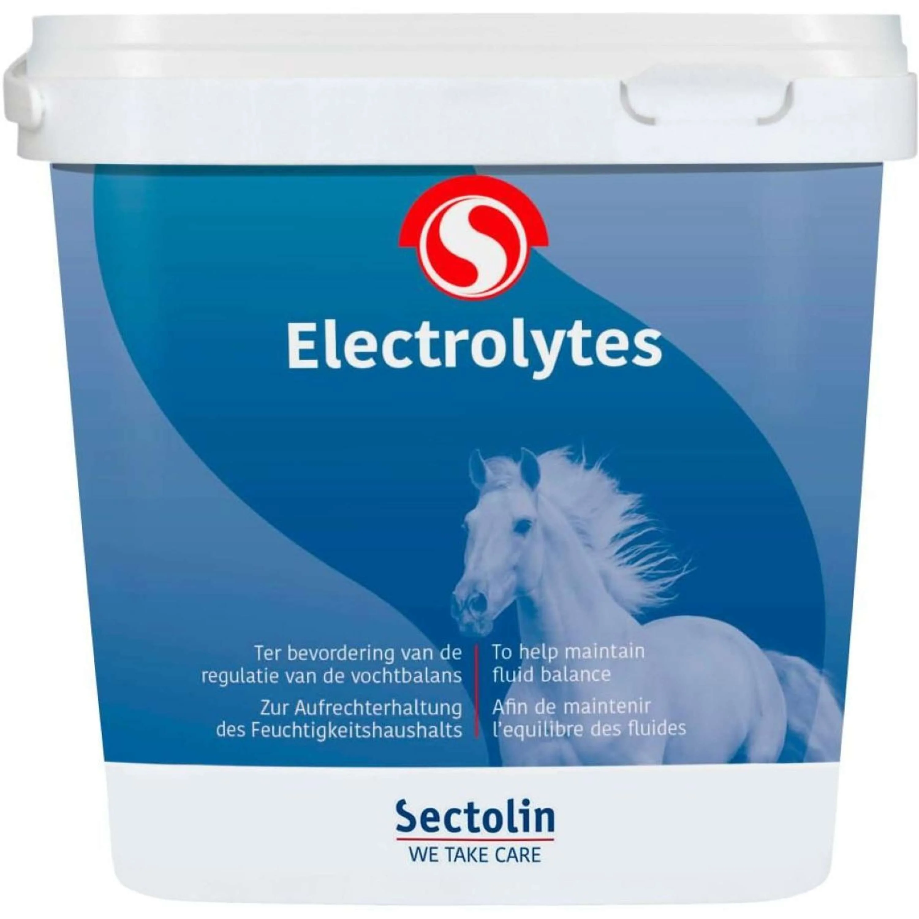 Sectolin Elettroliti - Image 3