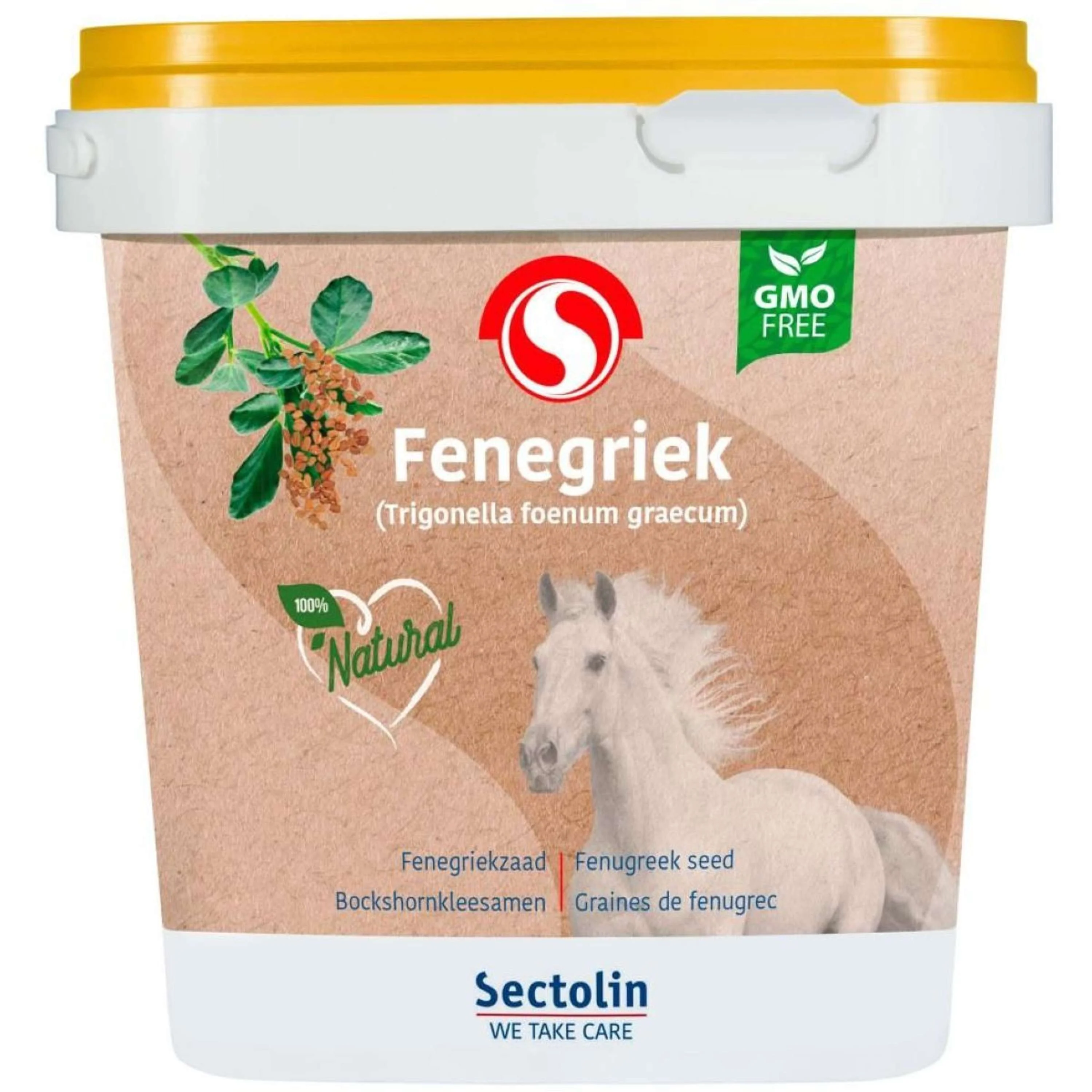 Sectolin Fieno greco - Image 2