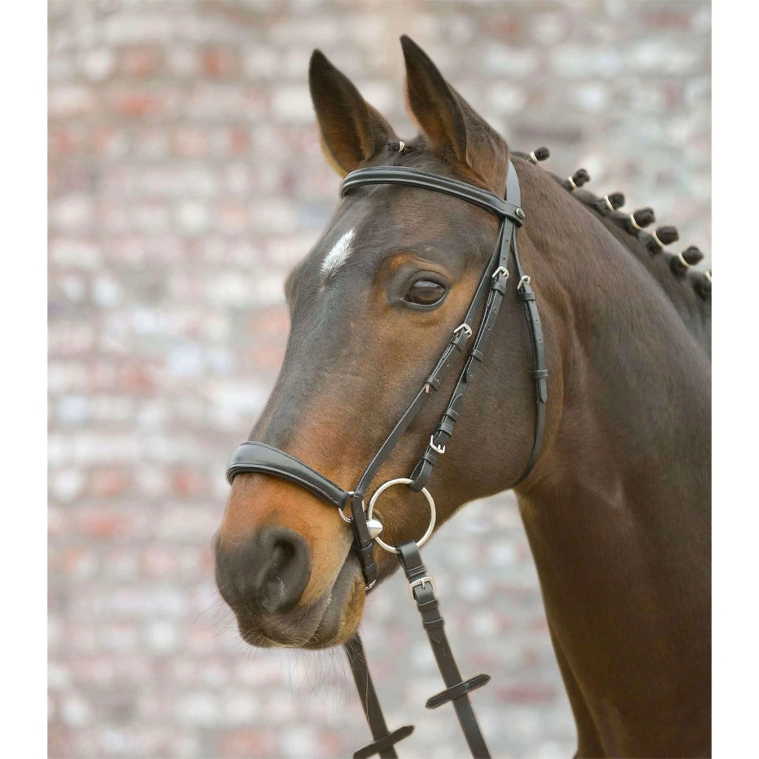 Star Briglia Hannover Nero