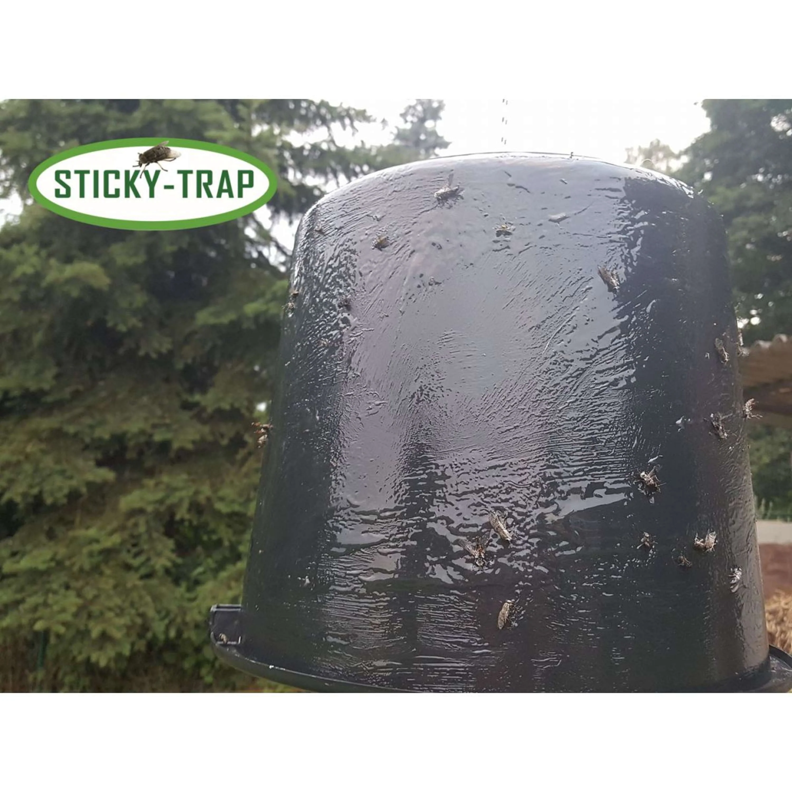 Sticky Trap Secchio Nero - Image 4