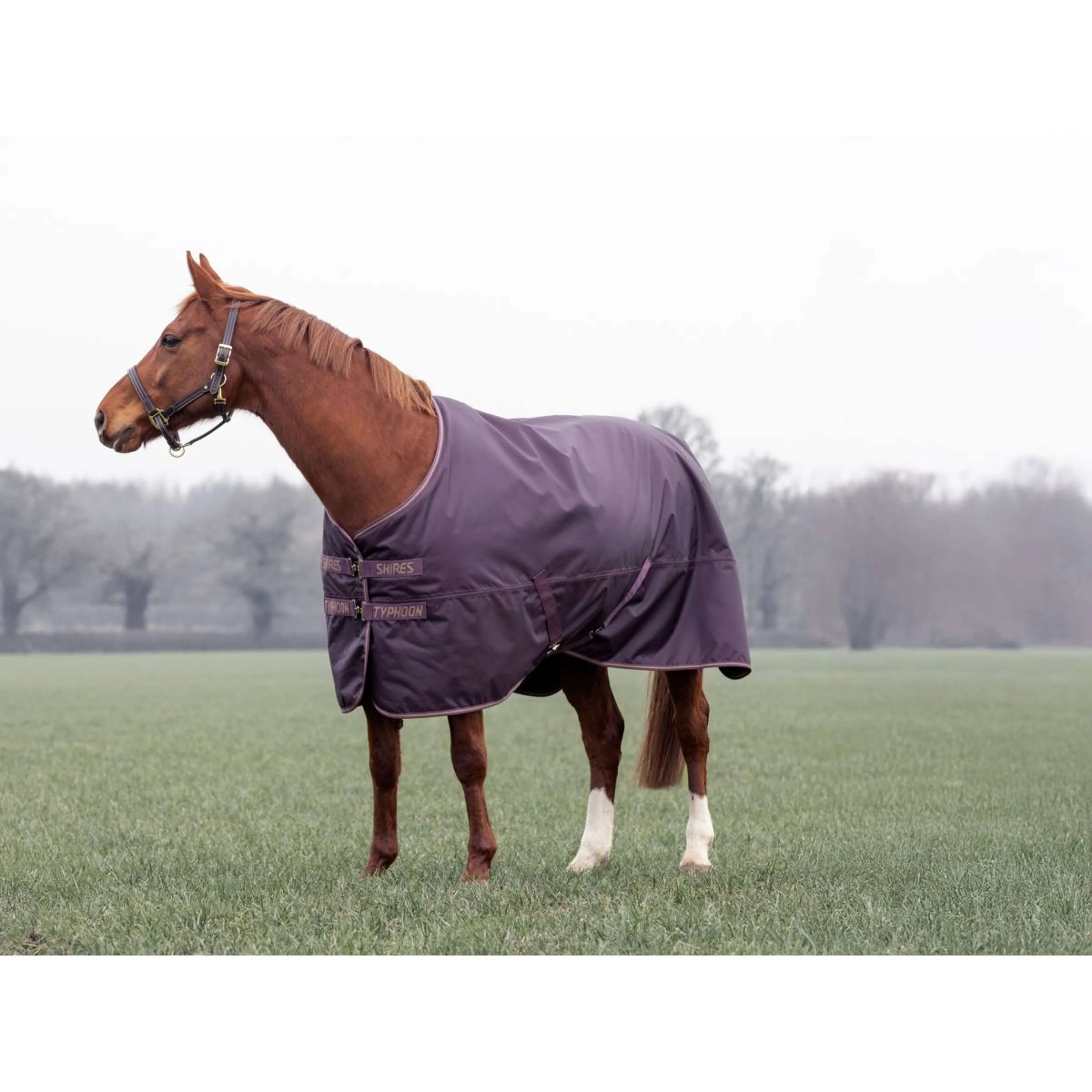 Tempest by Shires Coperta Invernale Turnout Typhoon 100g Black Cherry - Image 3