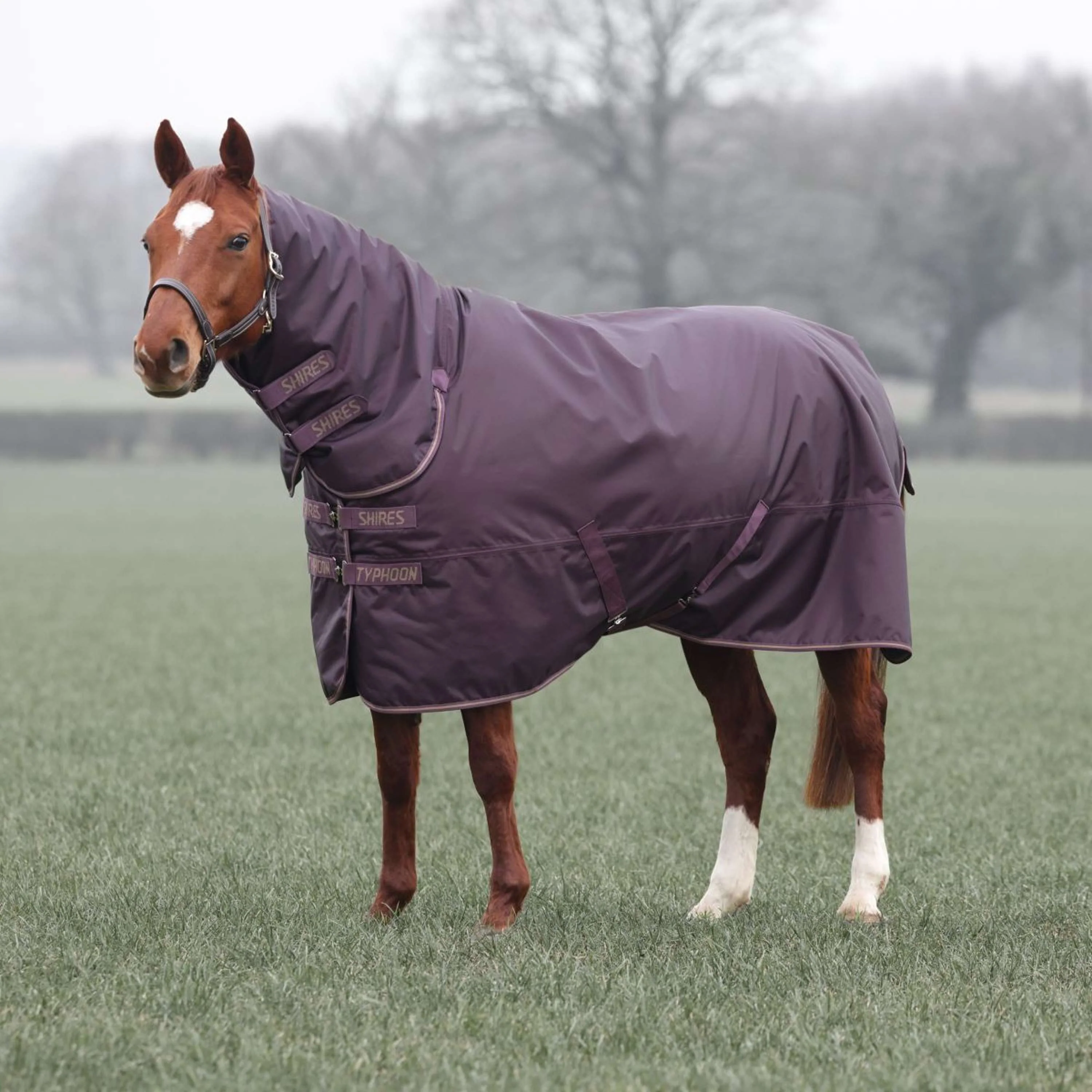 Tempest by Shires Coperta Invernale Turnout Typhoon 100g Black Cherry - Image 4