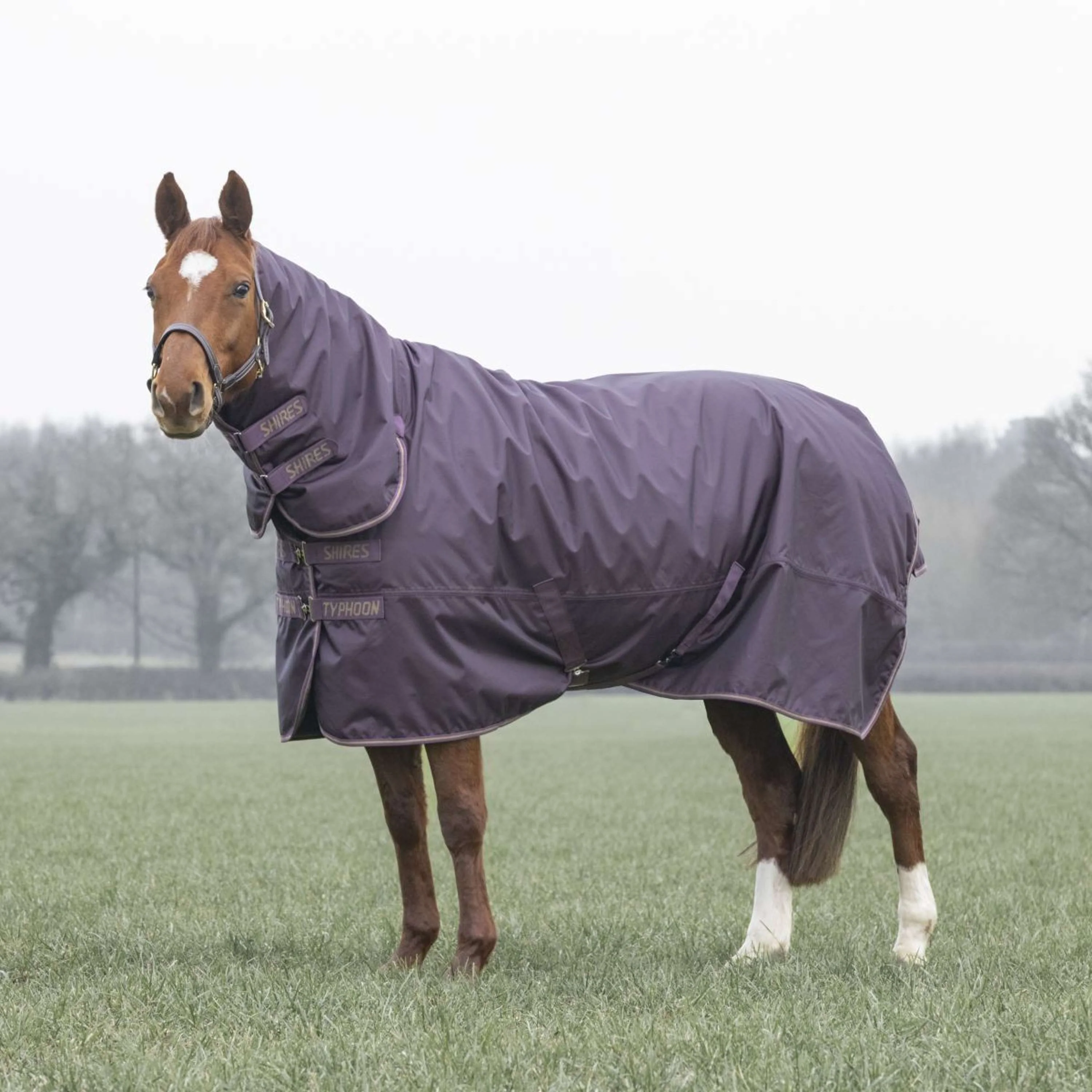 Tempest by Shires Coperta Invernale Turnout Typhoon 100g Black Cherry - Image 5