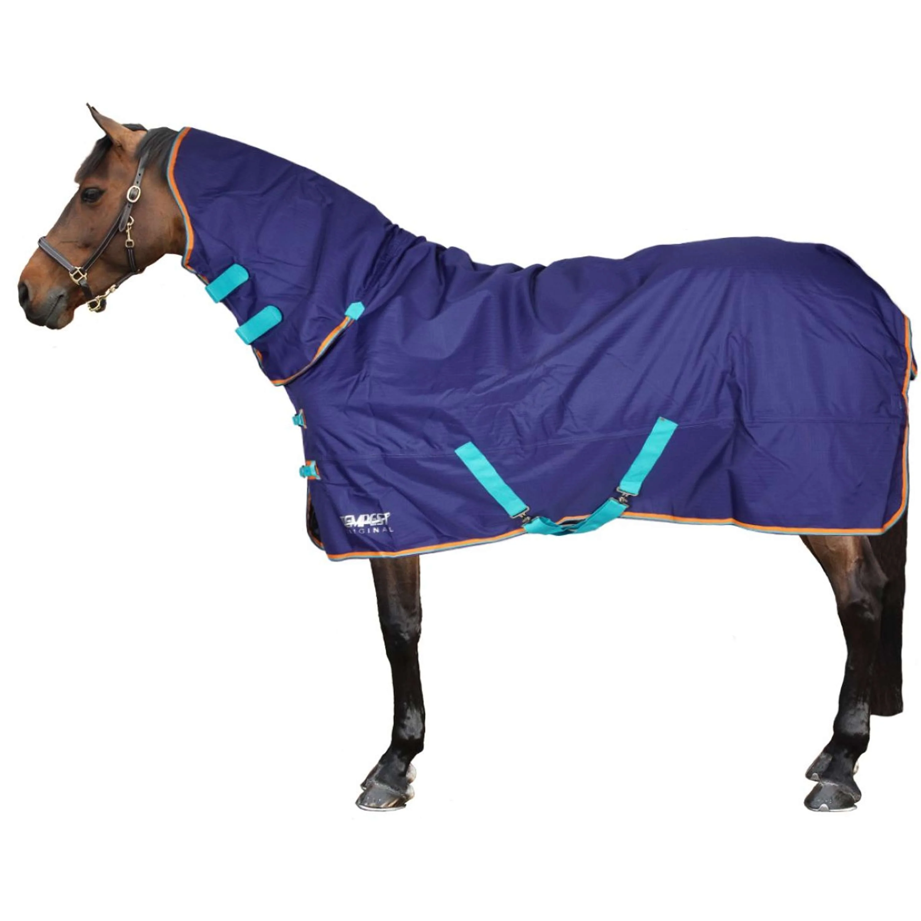 Tempest Original by Shires Combinazione di affluenza alle urne indietro 100 Navy - Image 2