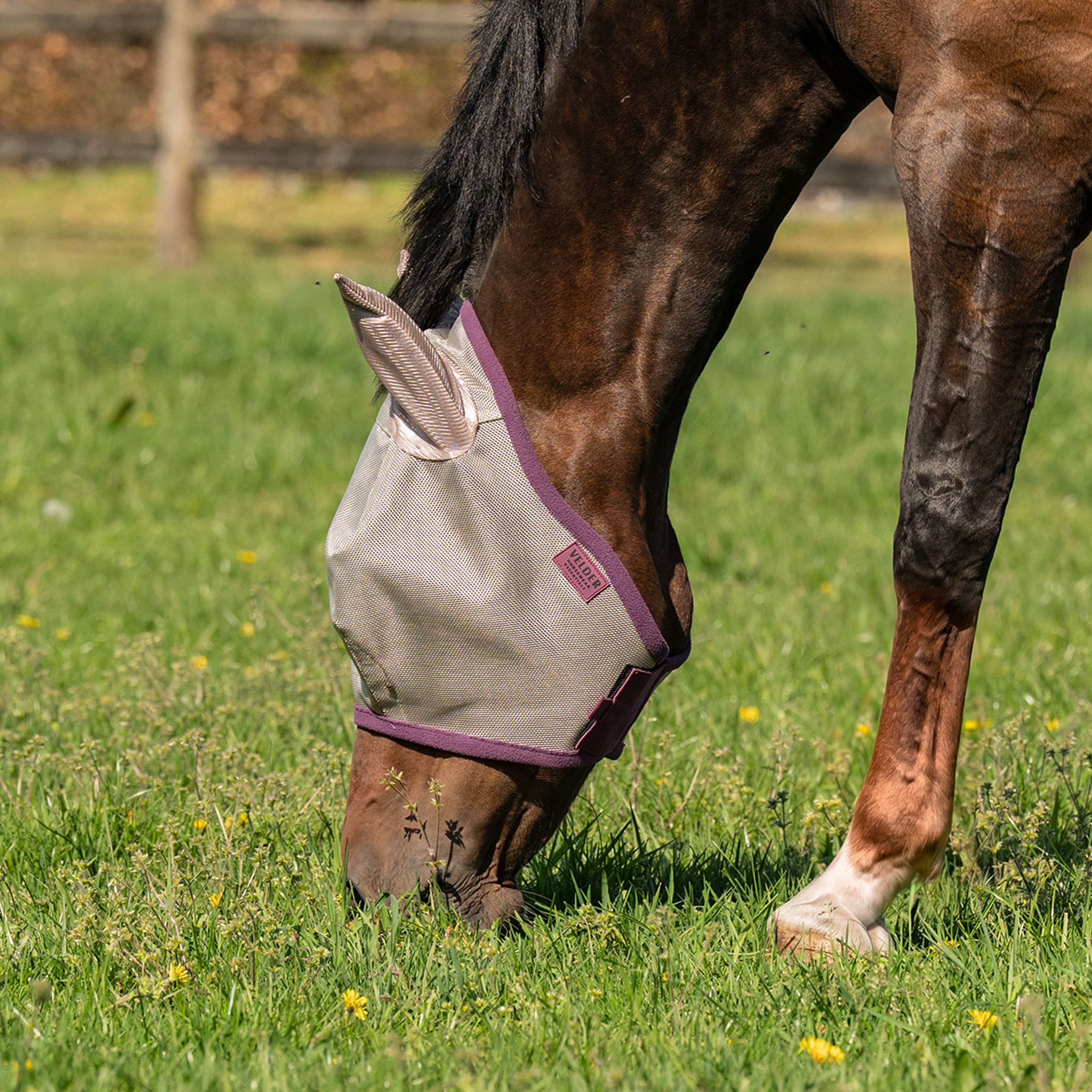 Velder Horsewear Essentials Maschera per Mosche con Orecchie Sand Stone - Image 4