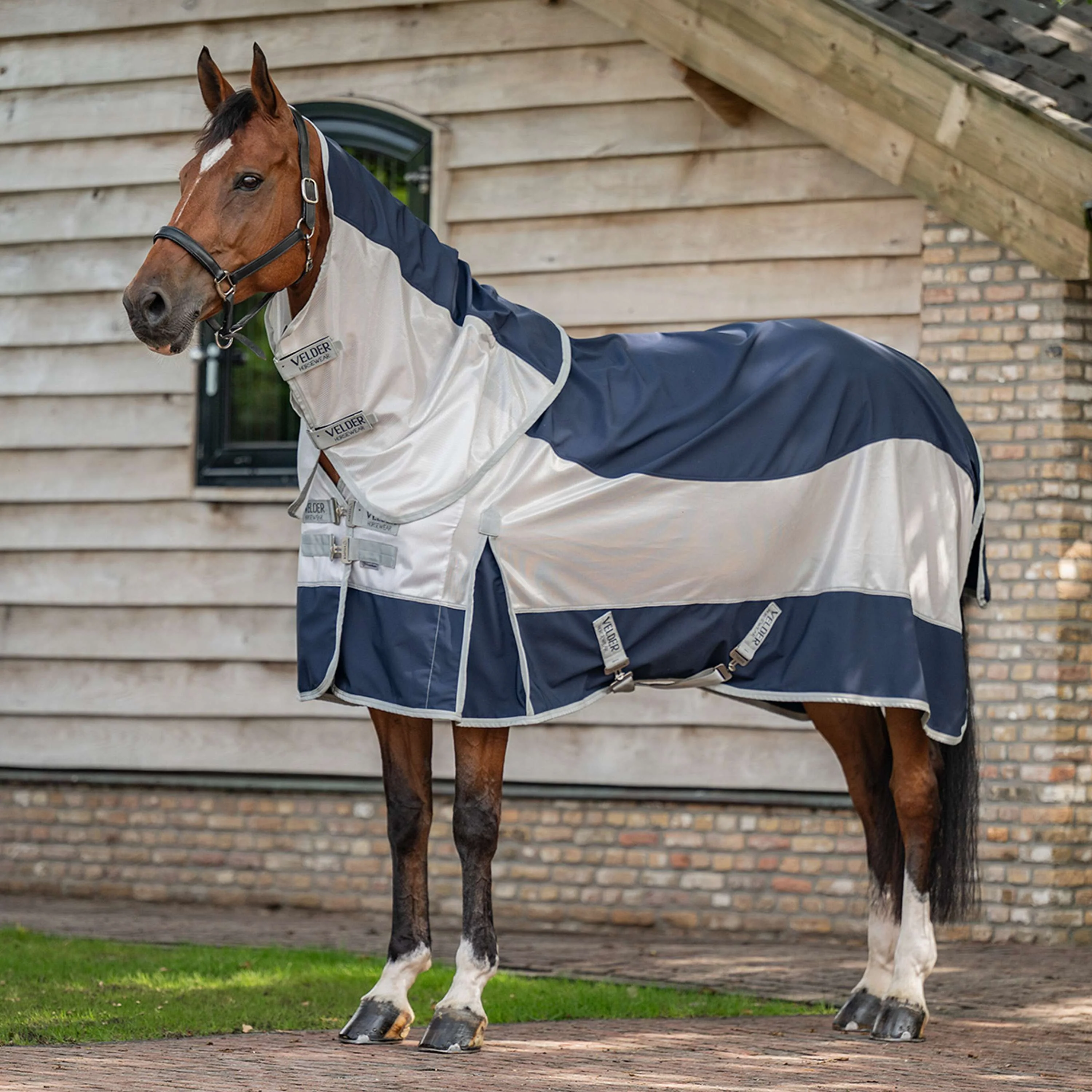 Velder Horsewear Premium Coperta Antimosche Rainless Fall Navy/Pearl Silver - Image 2
