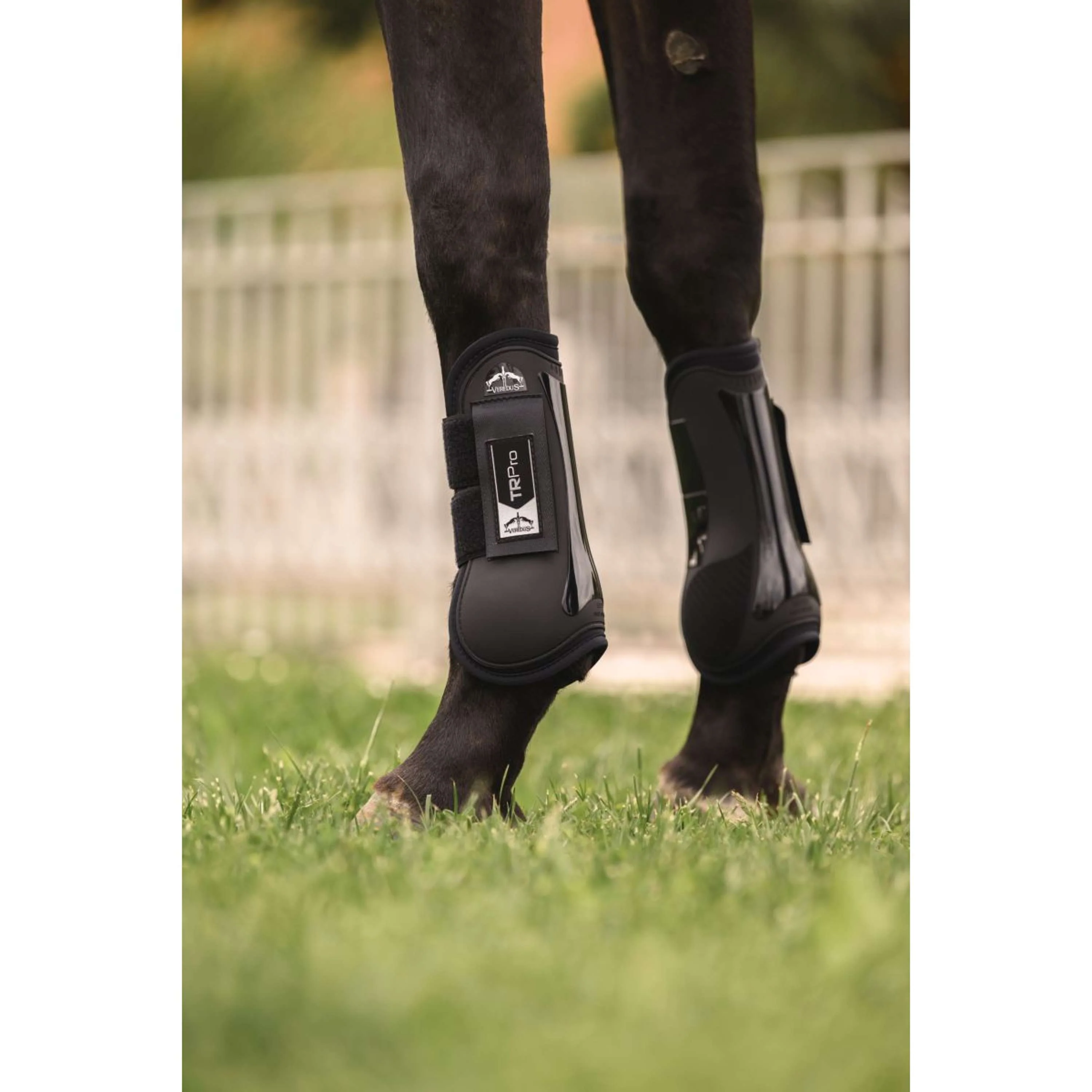 Veredus Stinchiere TR PRO Front Nero - Image 2