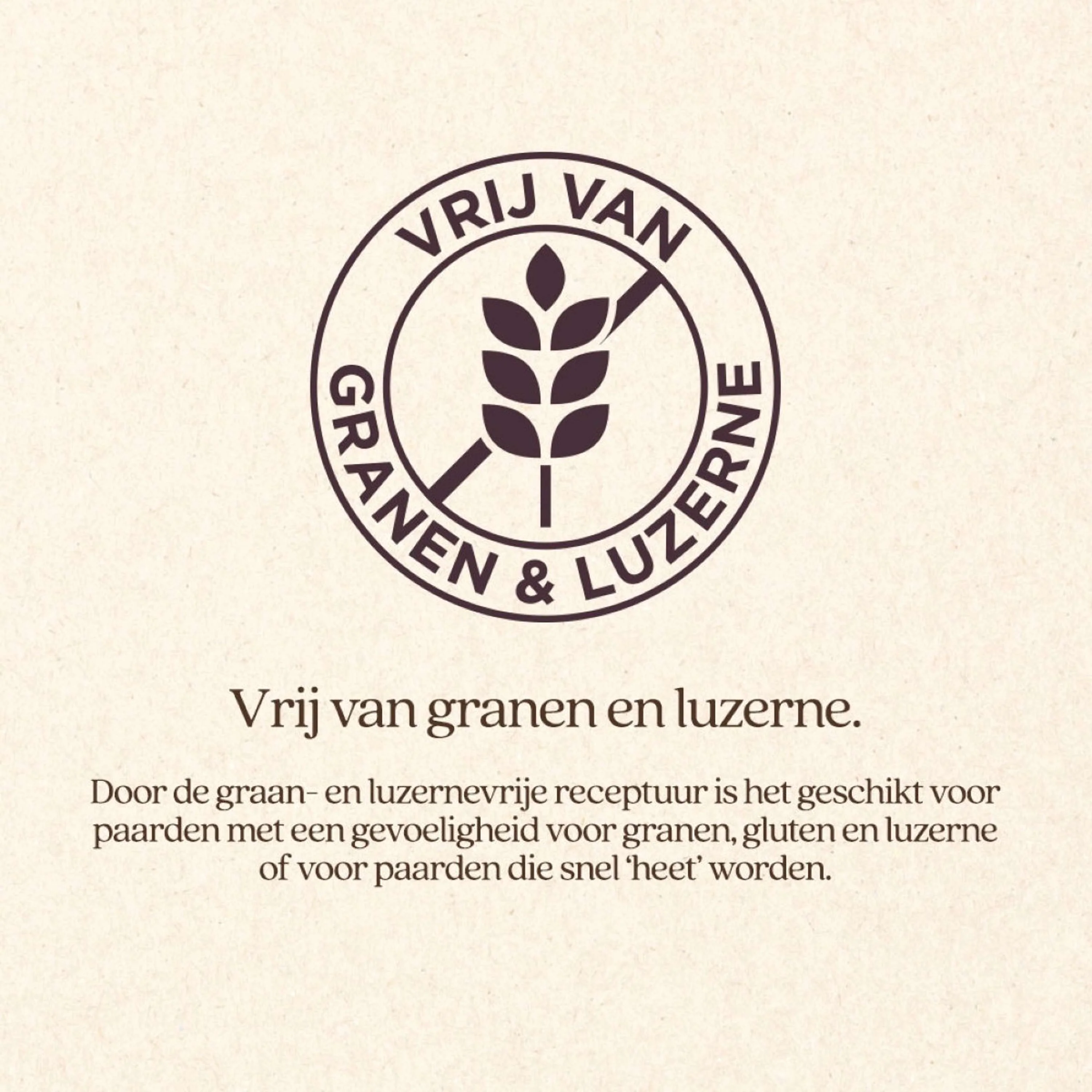 Vitalstyle Miscela di Foraggio Grezzo Protein & Fiber - Image 6