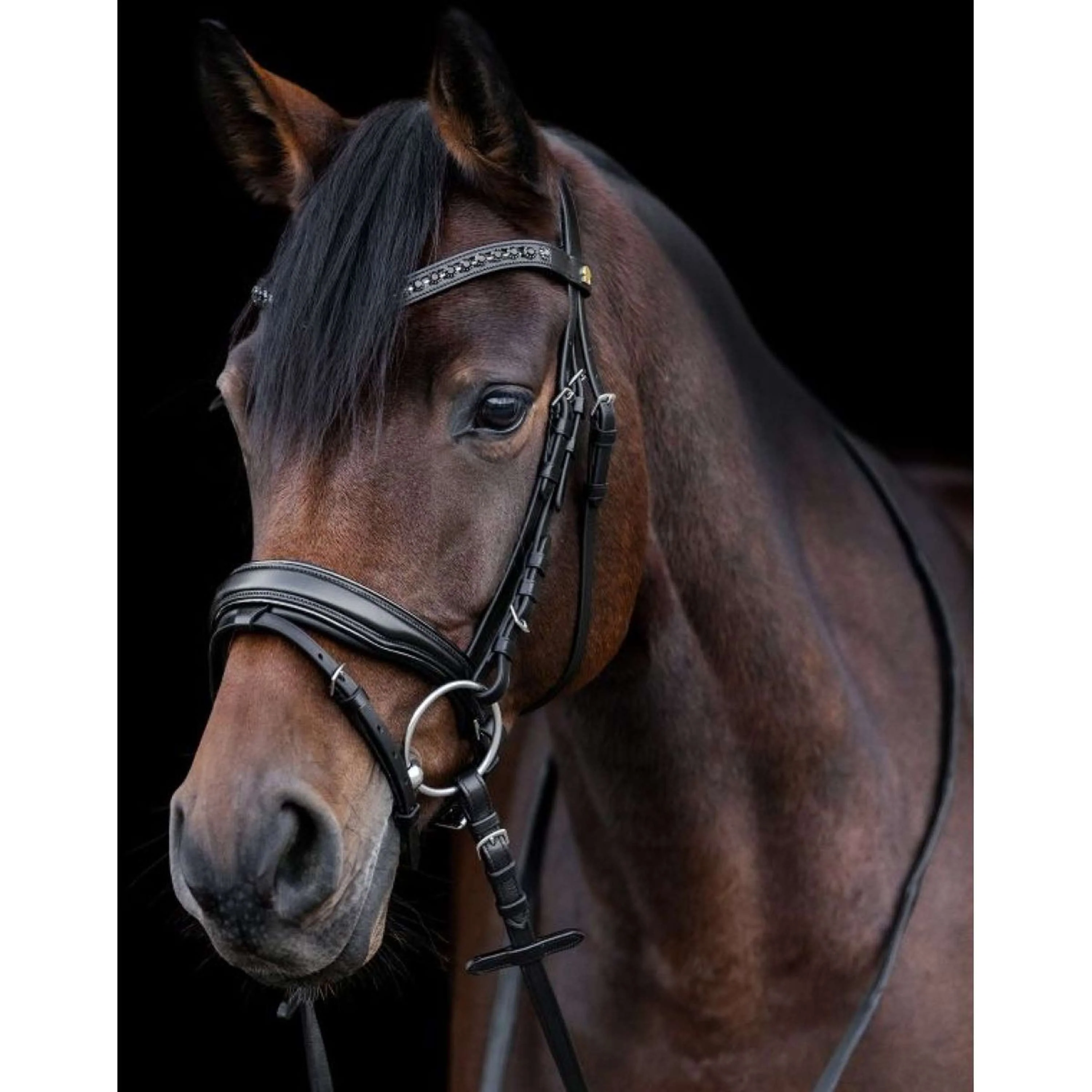 Waldhausen Briglia S-Line Blackshine - Image 4