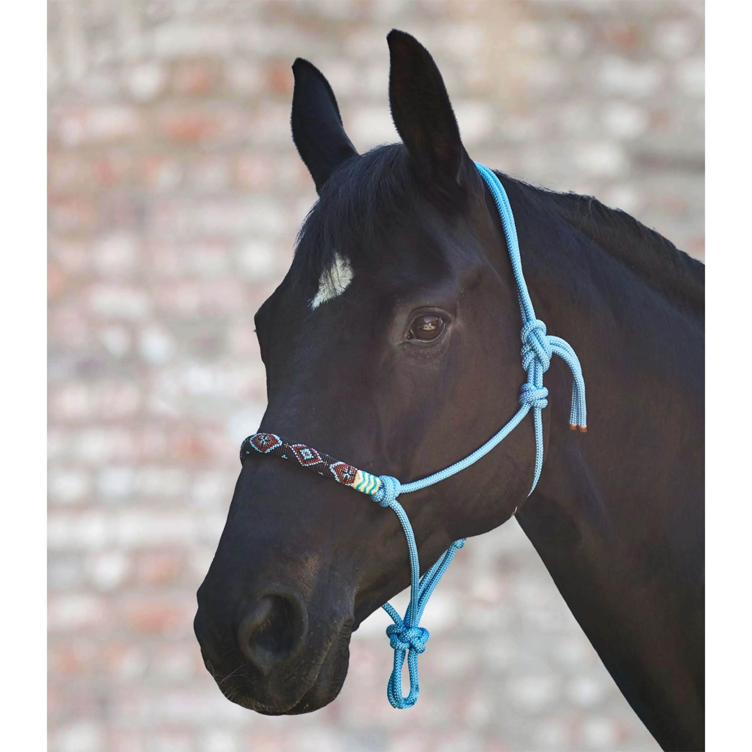 Waldhausen Cavezza in Corda Pearls Blu azzurro - Image 2