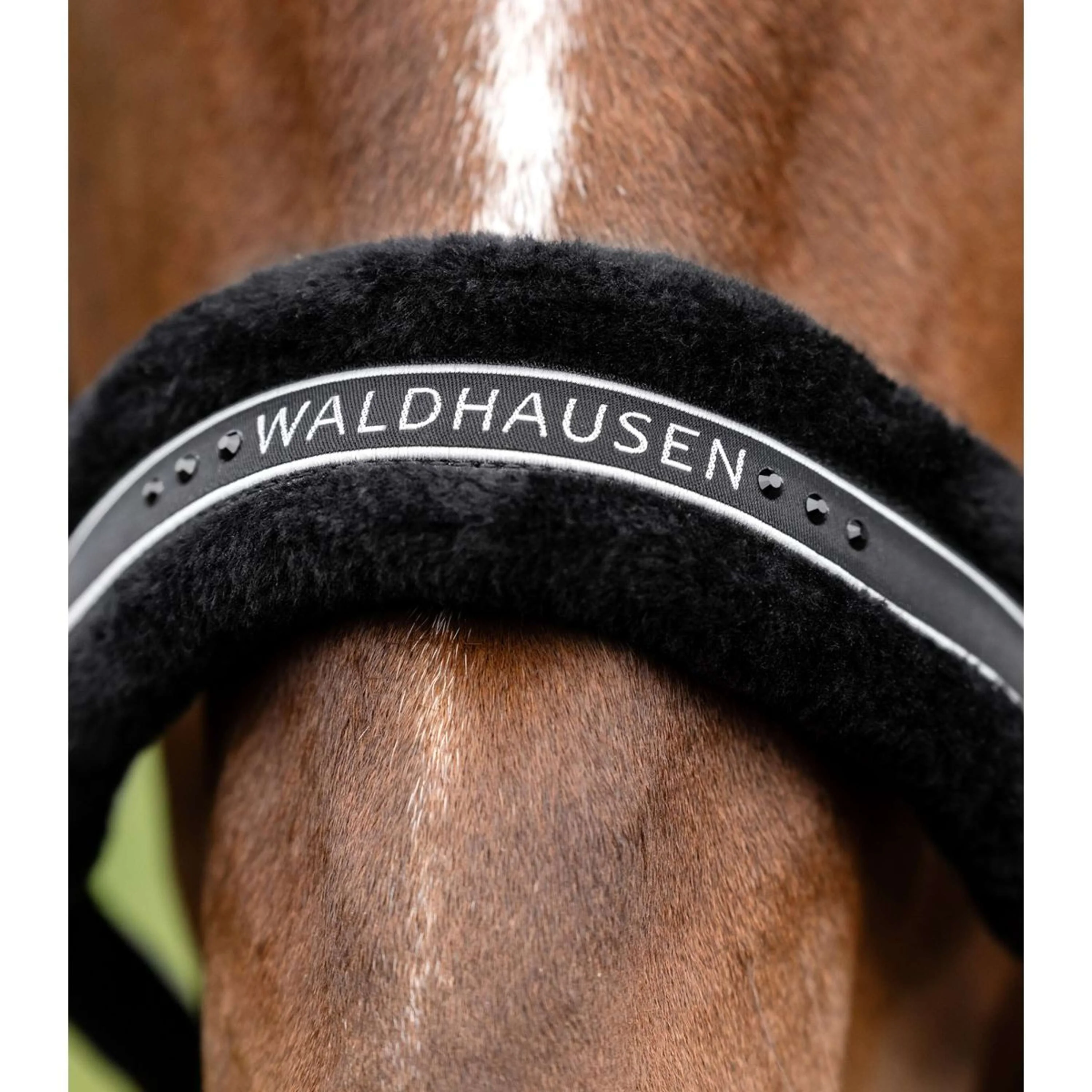 Waldhausen Cavezza Elegant Nero - Image 4