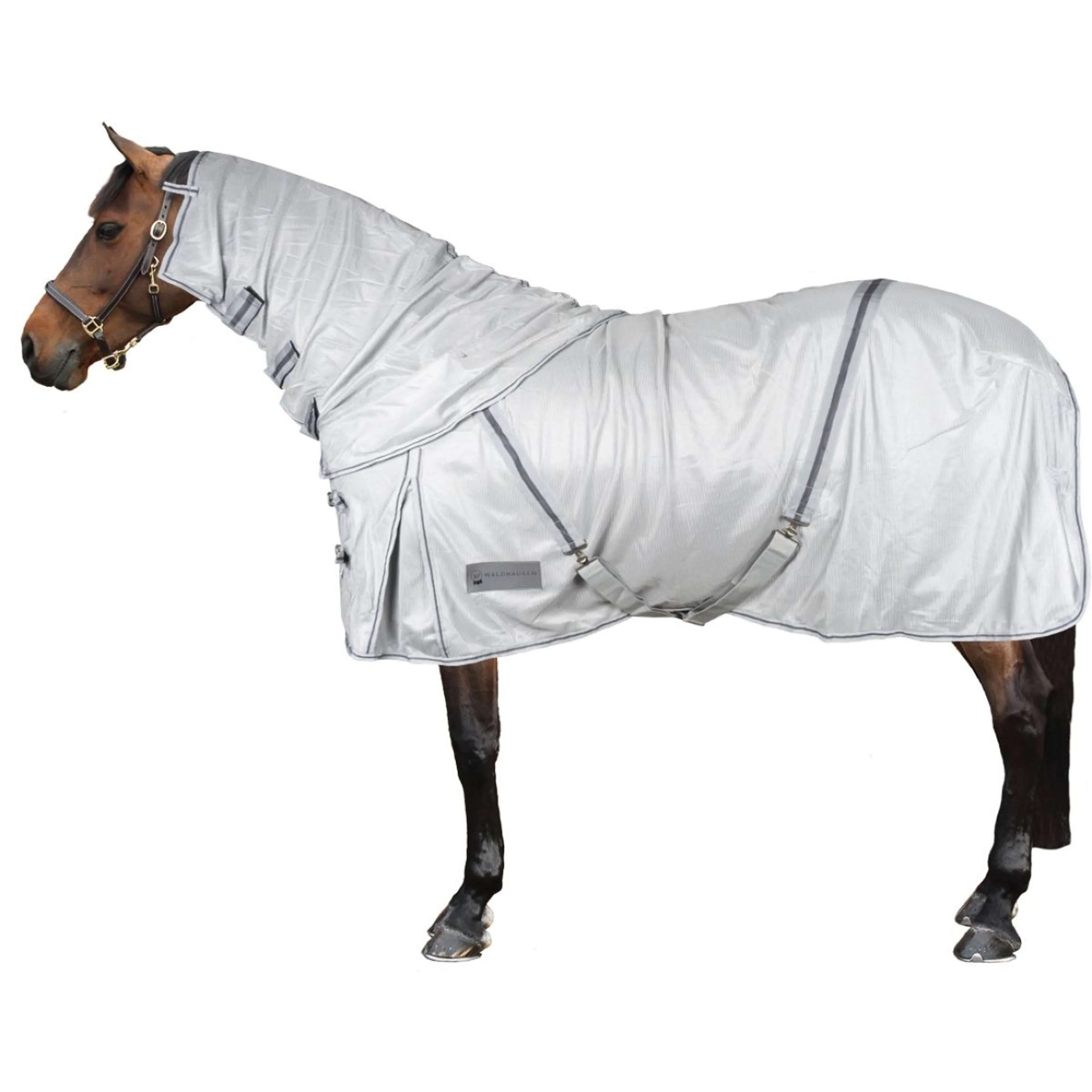 Waldhausen Coperta Antimosche Protect con Collo Staccabile Grigio argento/Grigio - Image 2