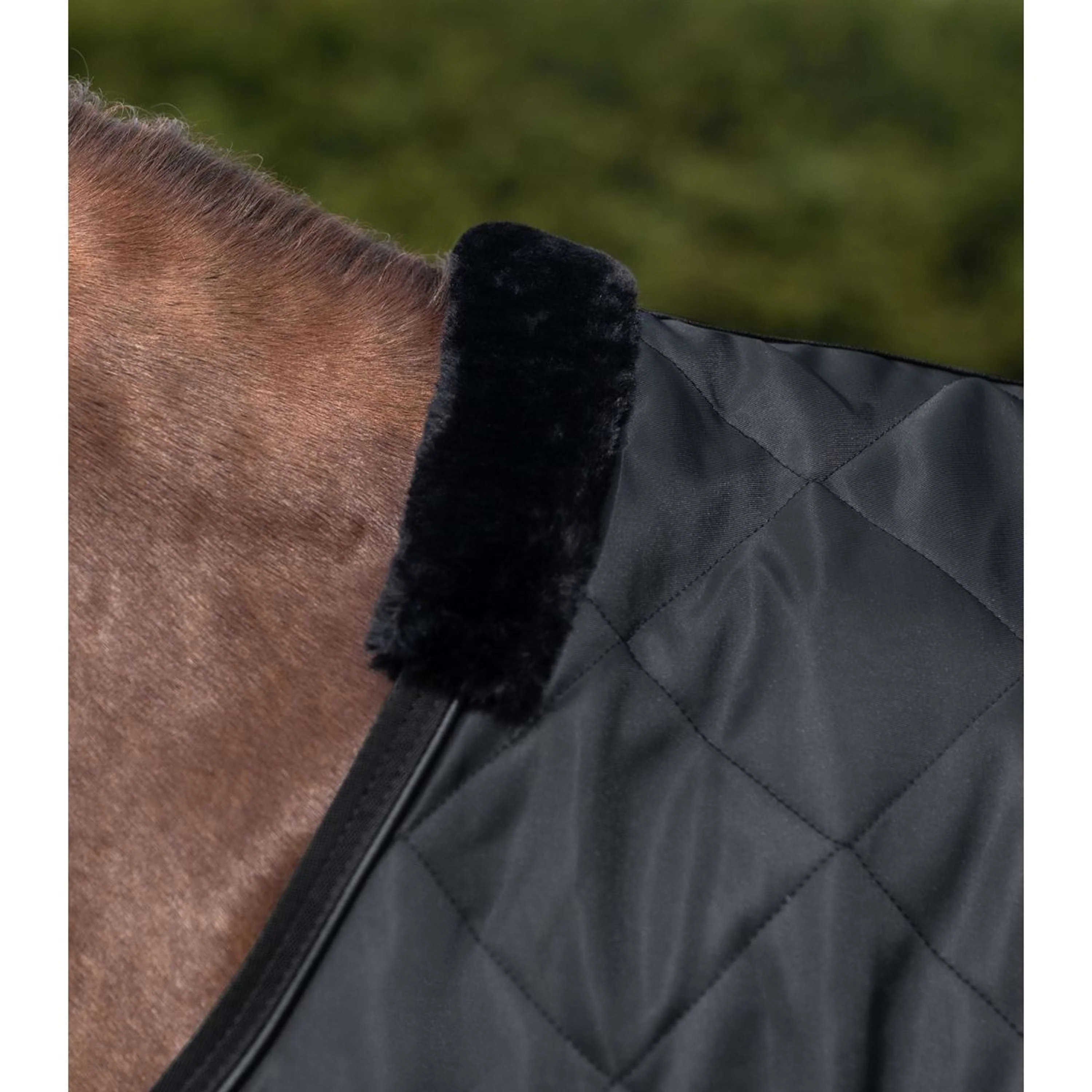 Waldhausen Coperta Tapis Roulant Exclusive Nero - Image 2