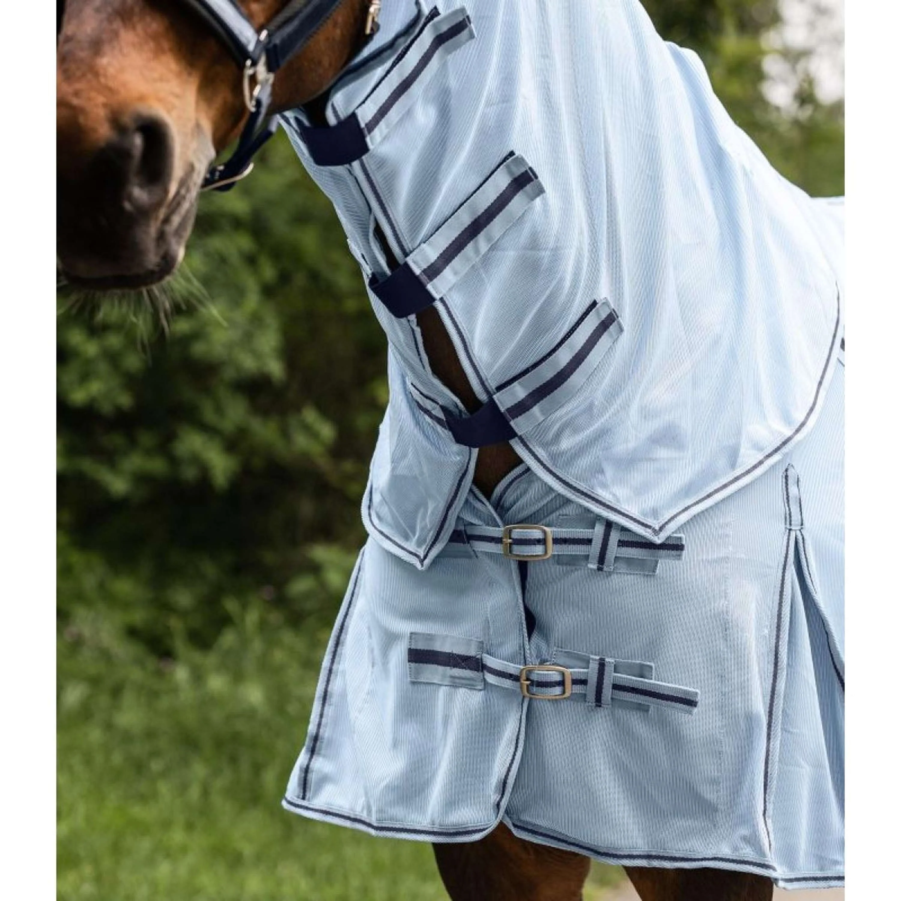 Waldhausen Copricollo Protect Azzurro - Image 2