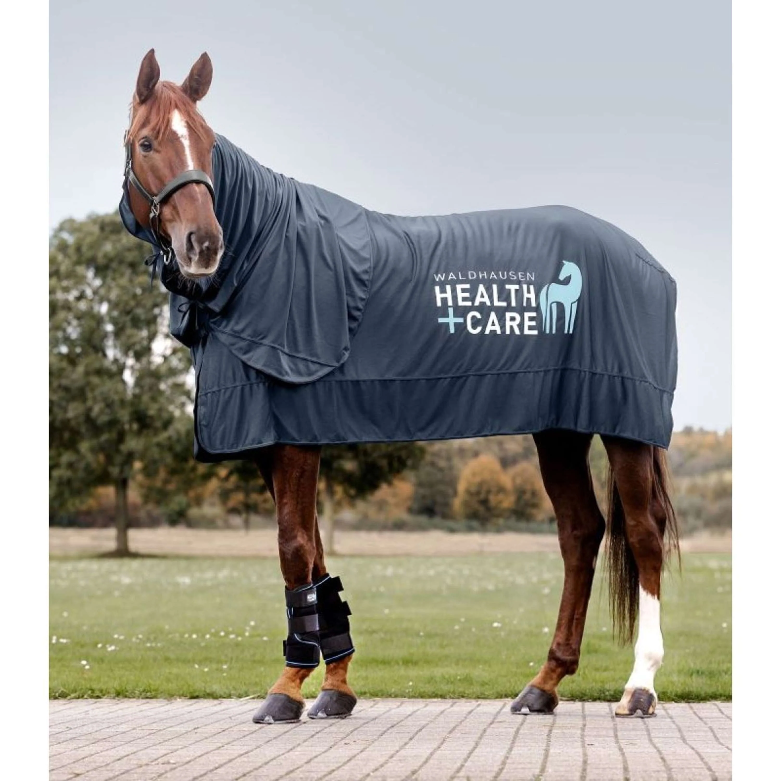 Waldhausen Health + Care Copricollo Ice Layer Blu notte - Image 4