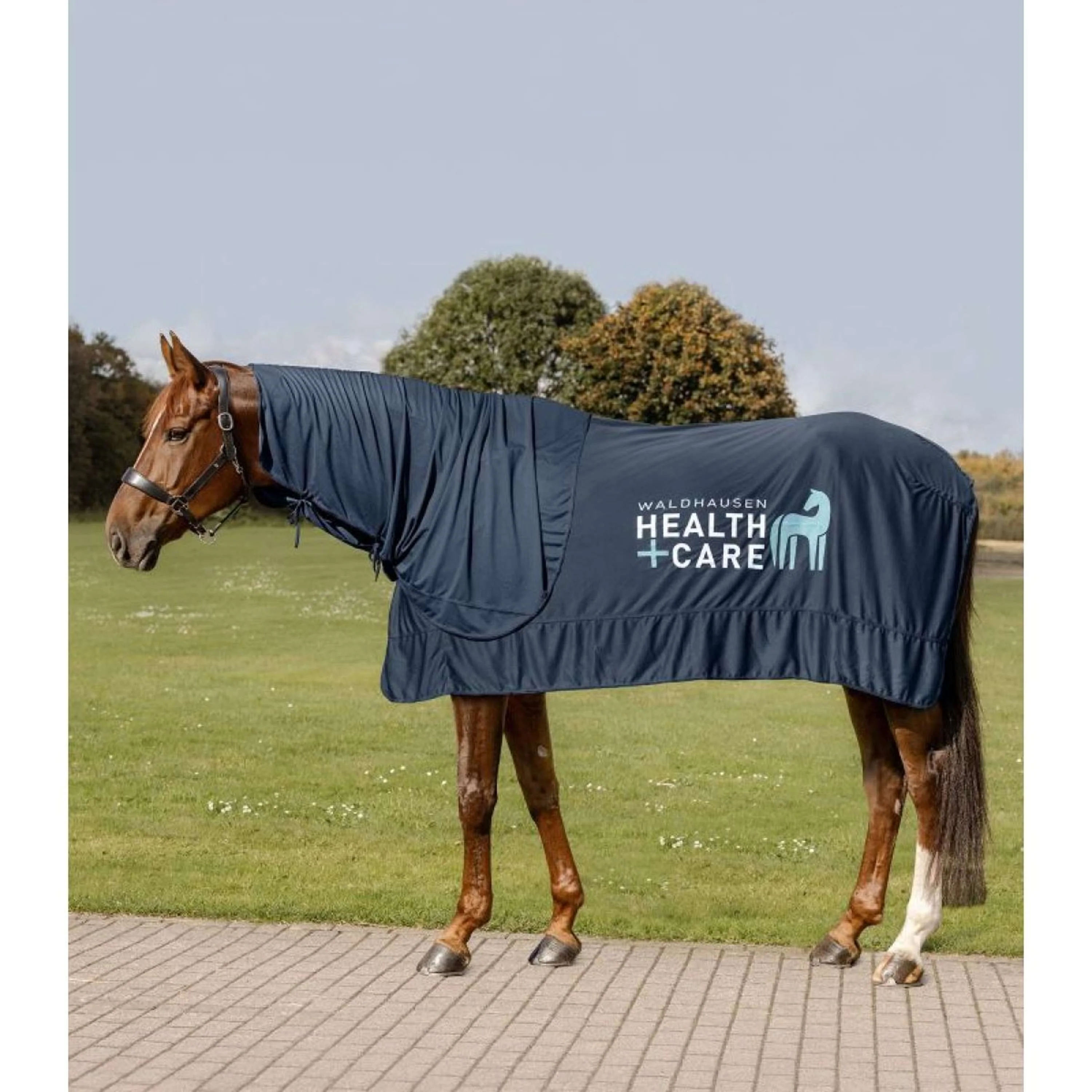 Waldhausen Health + Care Copricollo Ice Layer Blu notte - Image 5