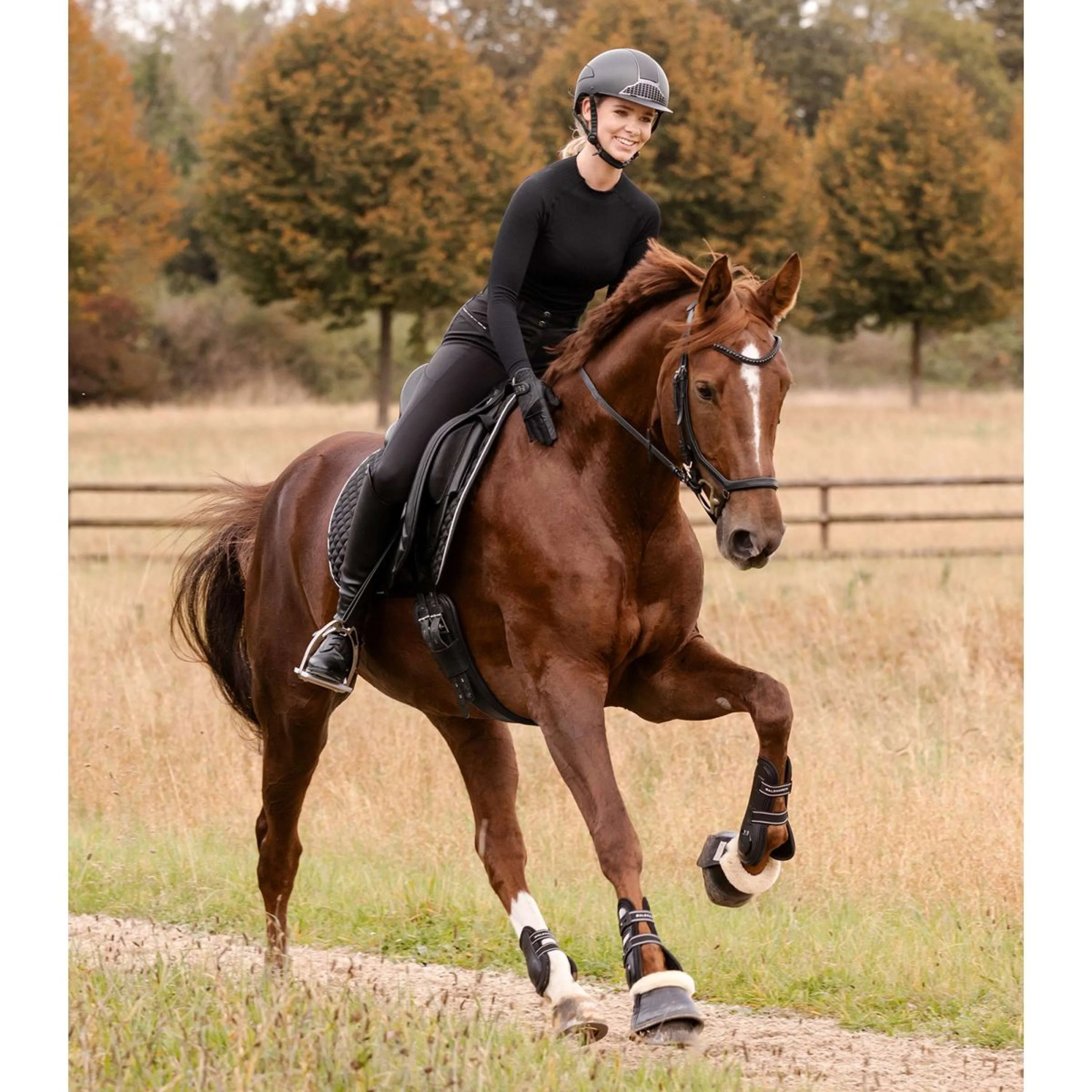 Waldhausen Sottosella Felix Glam Dressage Nero - Image 3