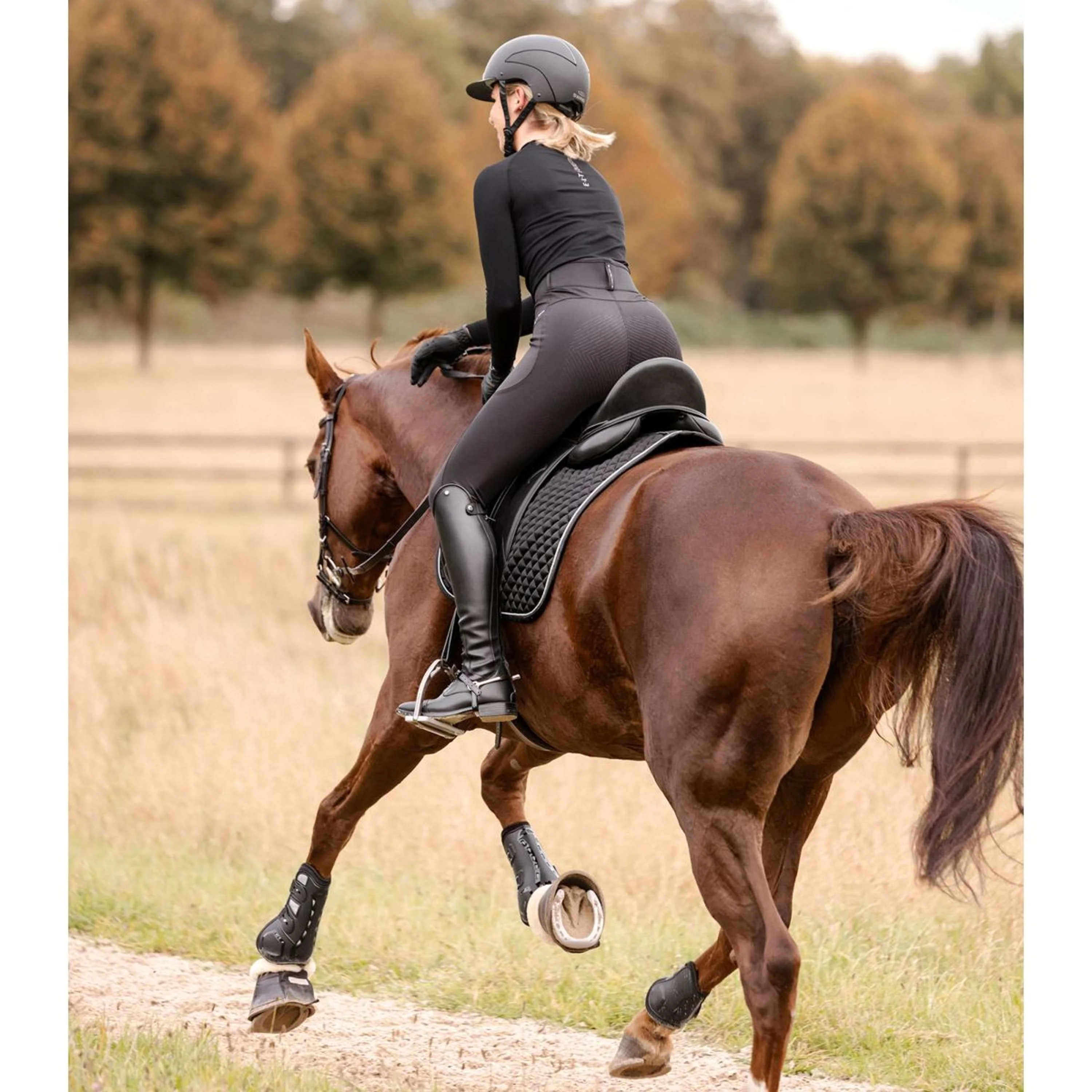 Waldhausen Sottosella Felix Glam Dressage Nero - Image 4