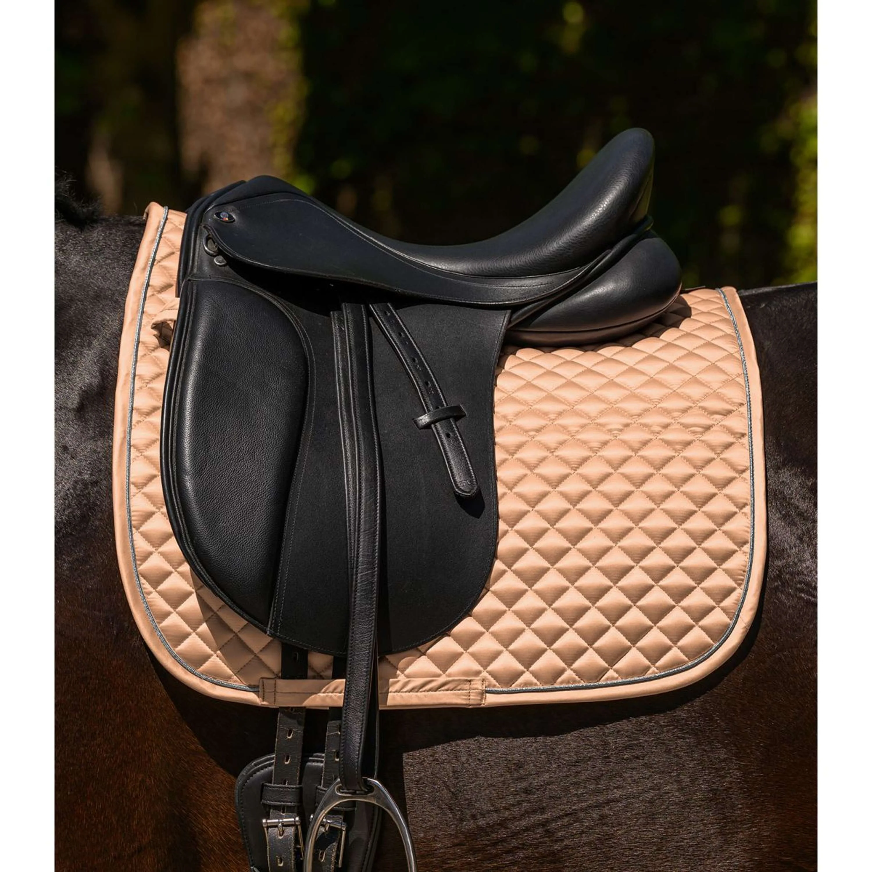 Waldhausen Sottosella Felix Glam Dressage Pesca - Image 2
