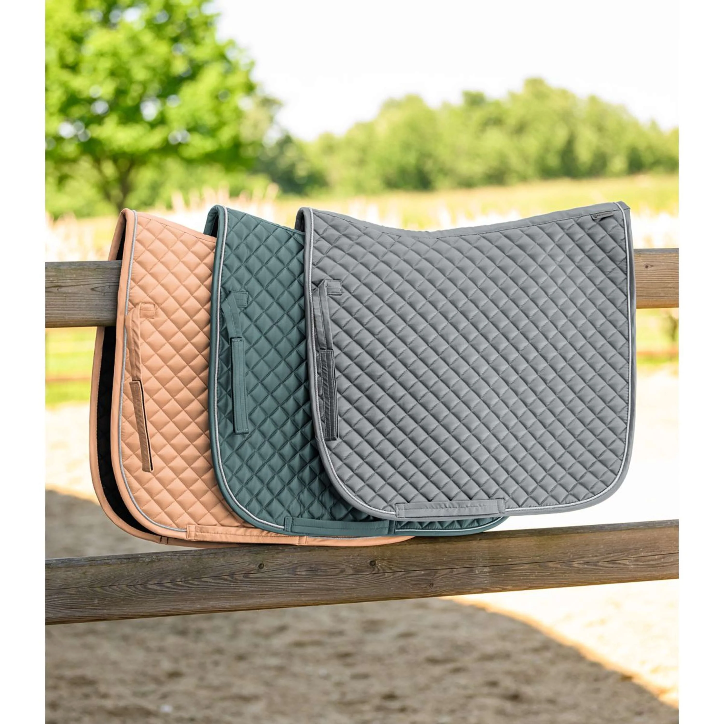 Waldhausen Sottosella Felix Glam Dressage Pesca - Image 4