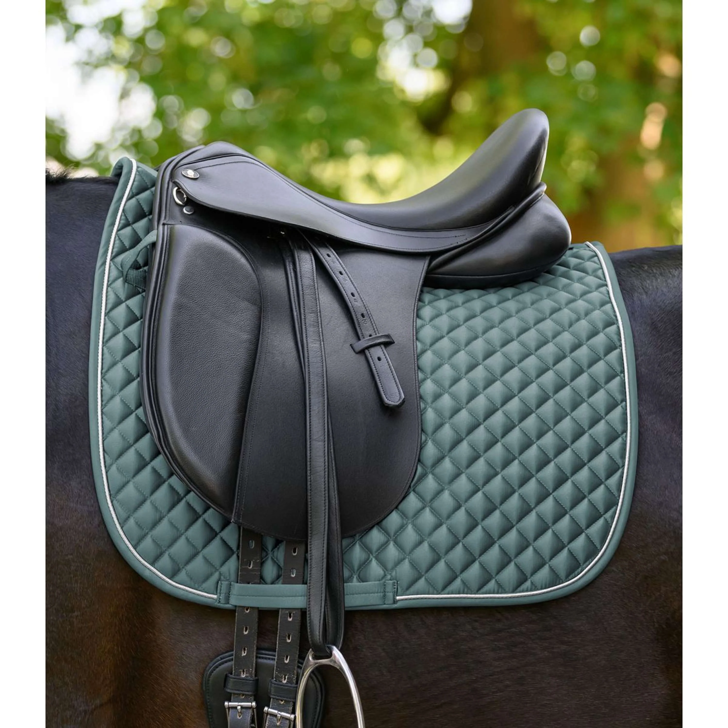 Waldhausen Sottosella Felix Glam Dressage Pine Green - Image 2