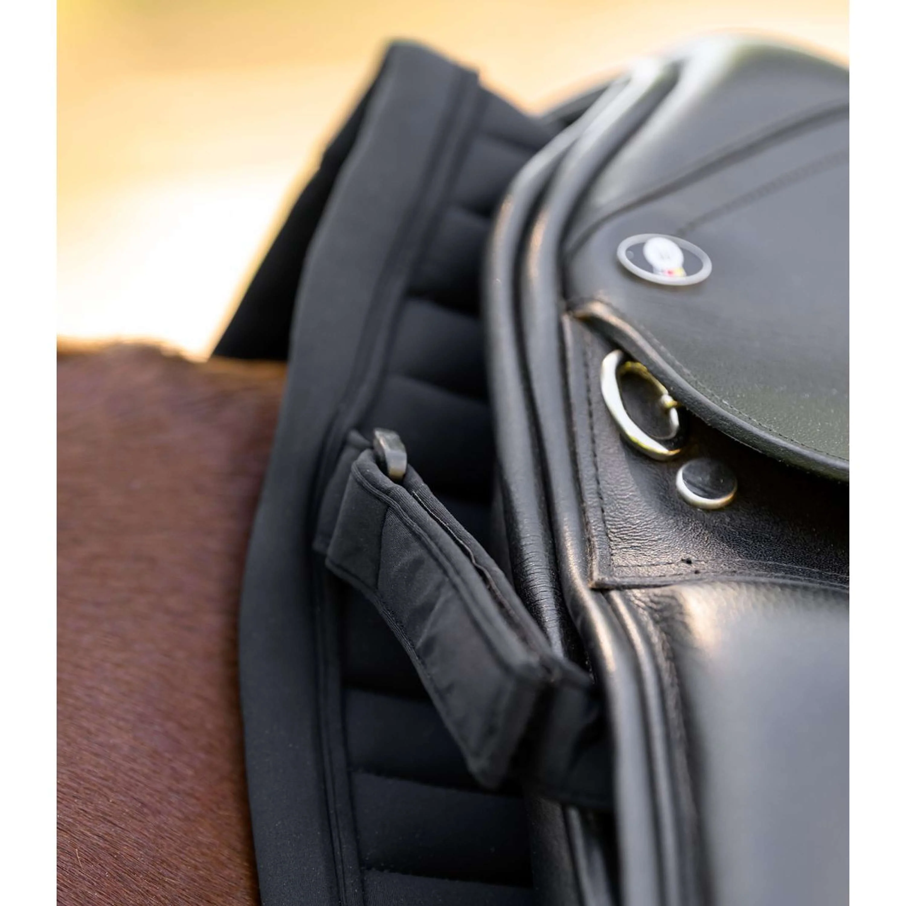 Waldhausen Sottosella Trinidad Dressage Nero - Image 3