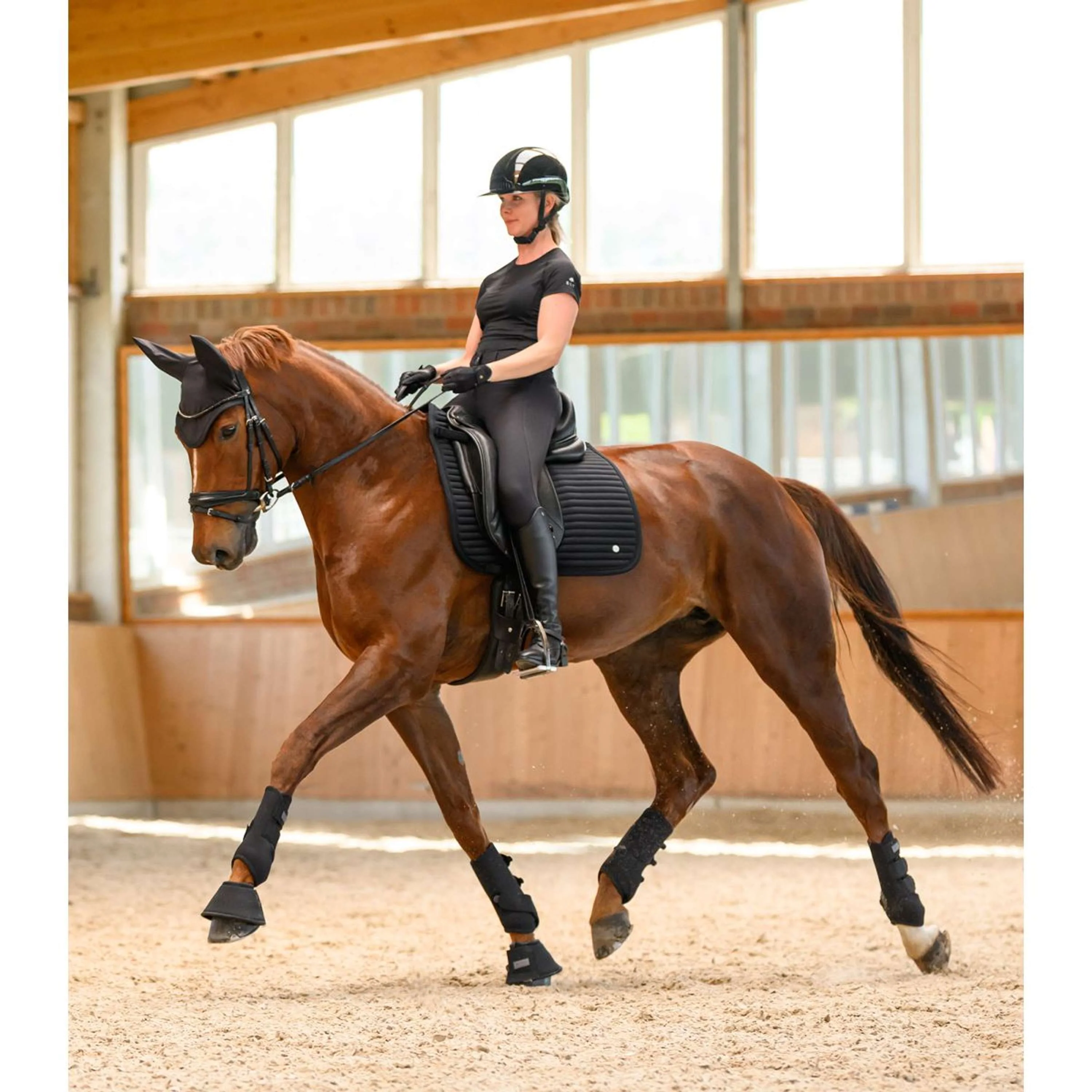 Waldhausen Sottosella Trinidad Dressage Nero - Image 4