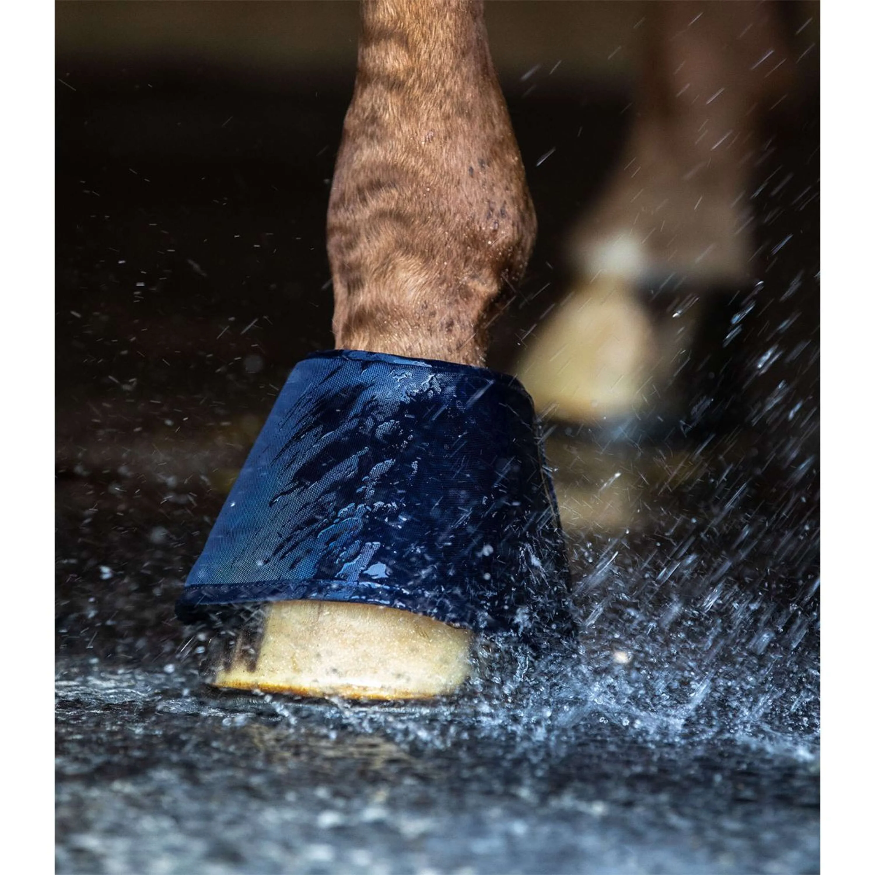 Waldhausen Stivaletti a Campana Water Blu - Image 4