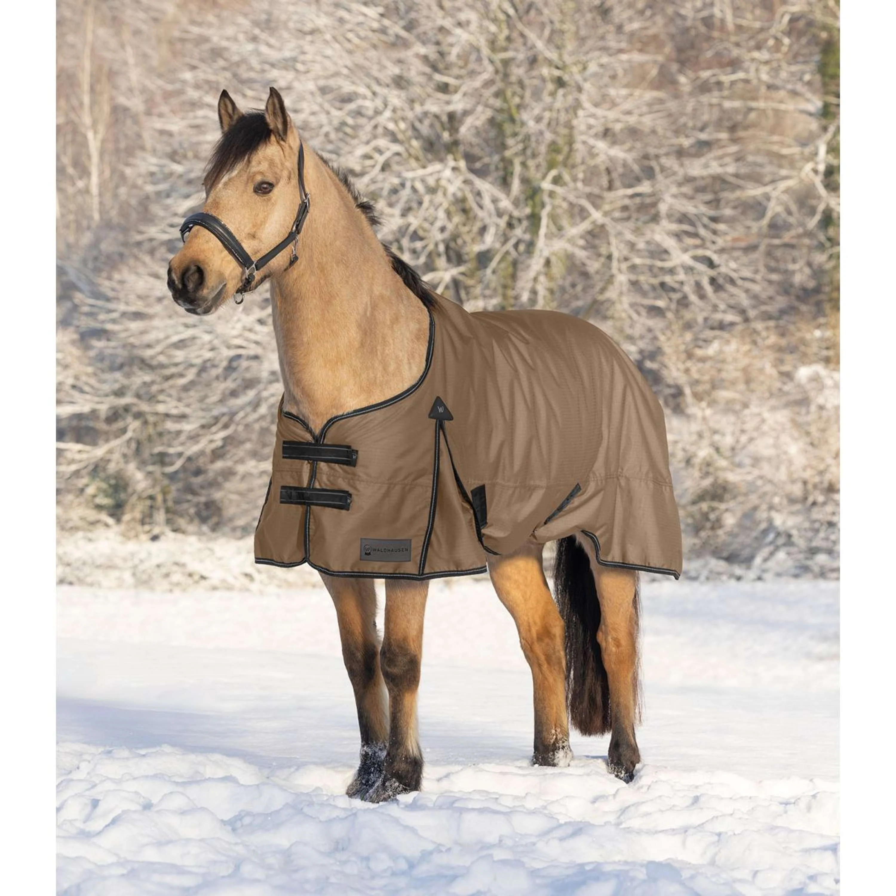 Waldhausen Tappeto da Esterno Arctic 100g Cappuccino/Nero - Image 2