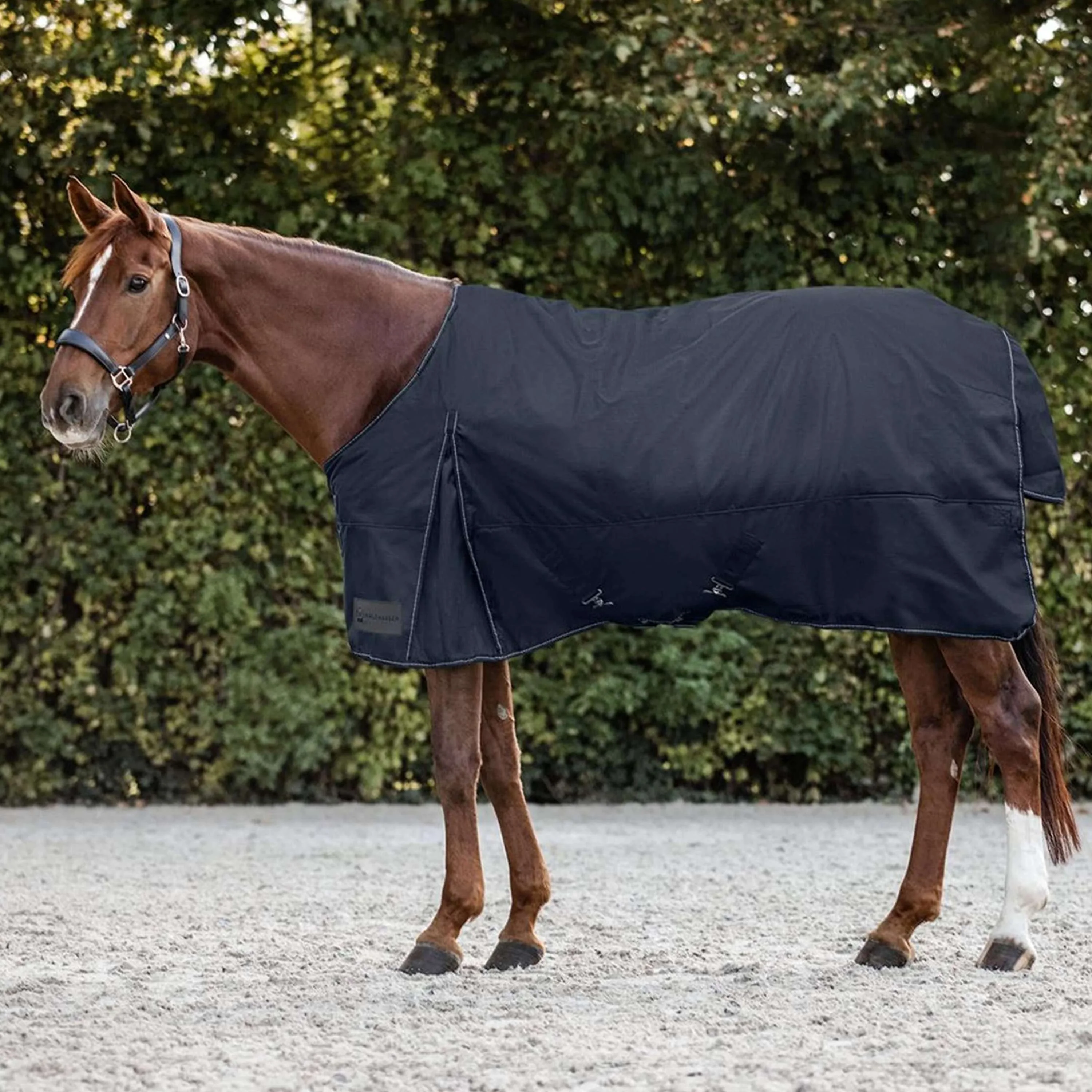 Waldhausen Tappeto da Esterno Nordic 200g Blu notte - Image 3