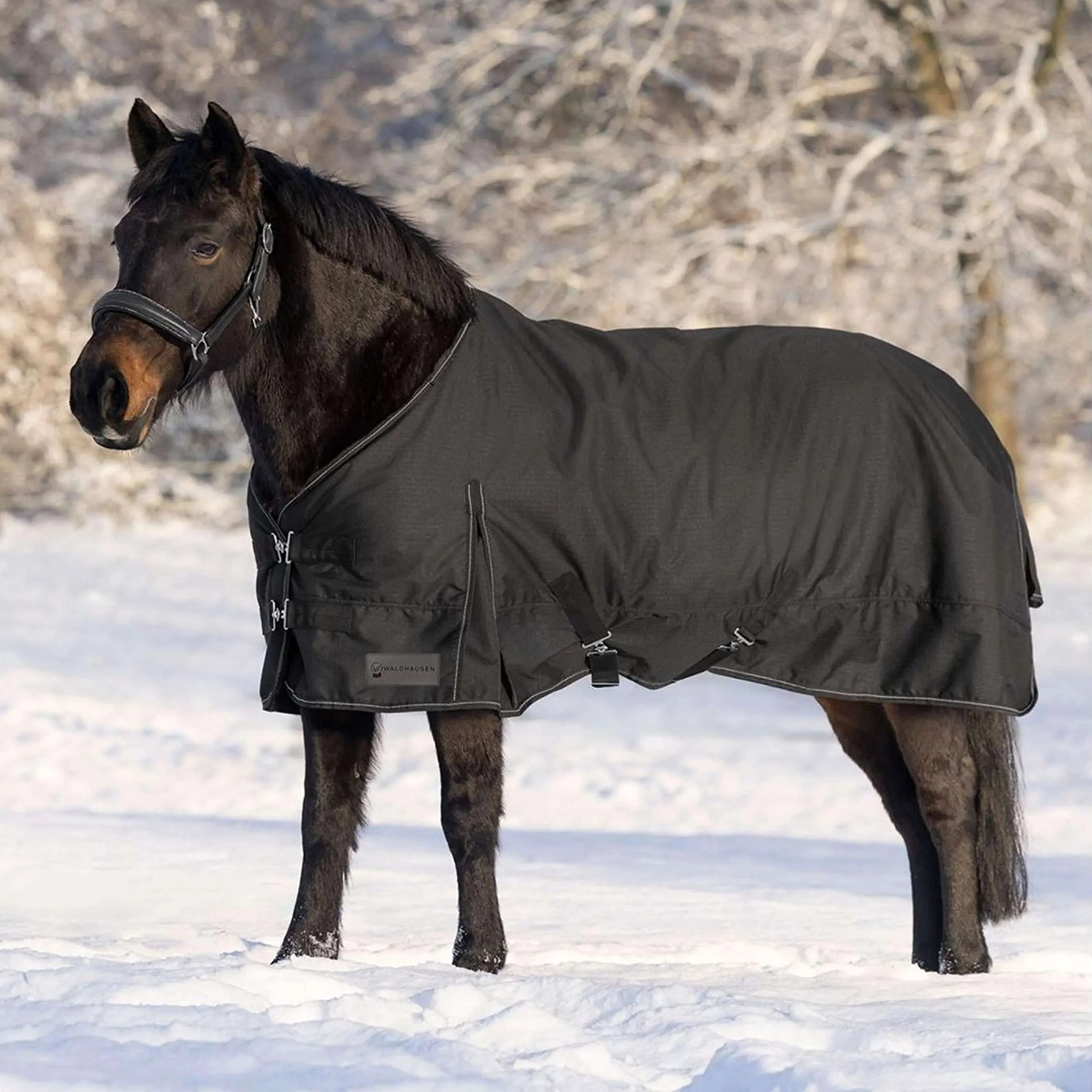 Waldhausen Tappeto da Esterno Nordic 300g Nero - Image 4