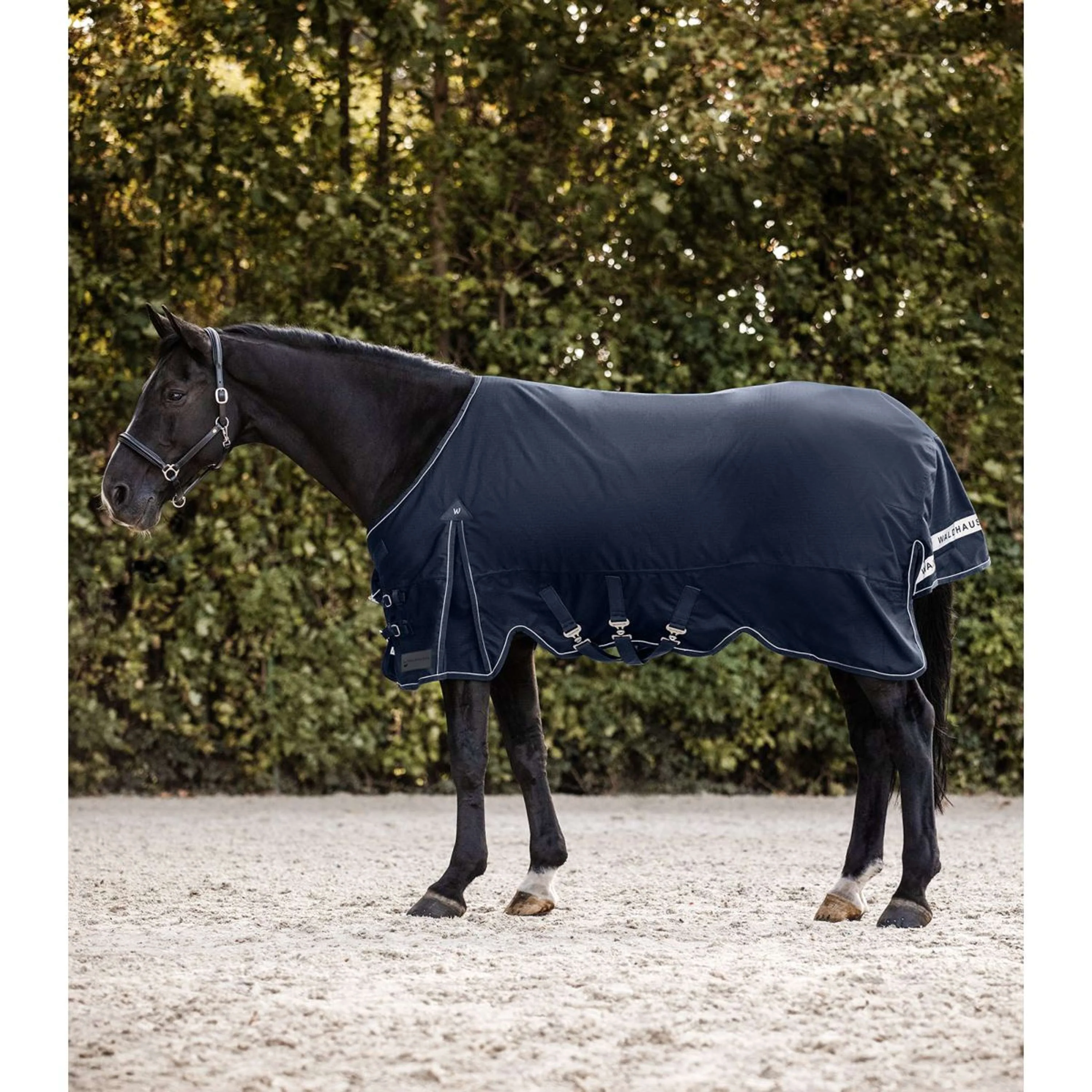 Waldhausen Tappeto da Esterno Scandic Blu notte