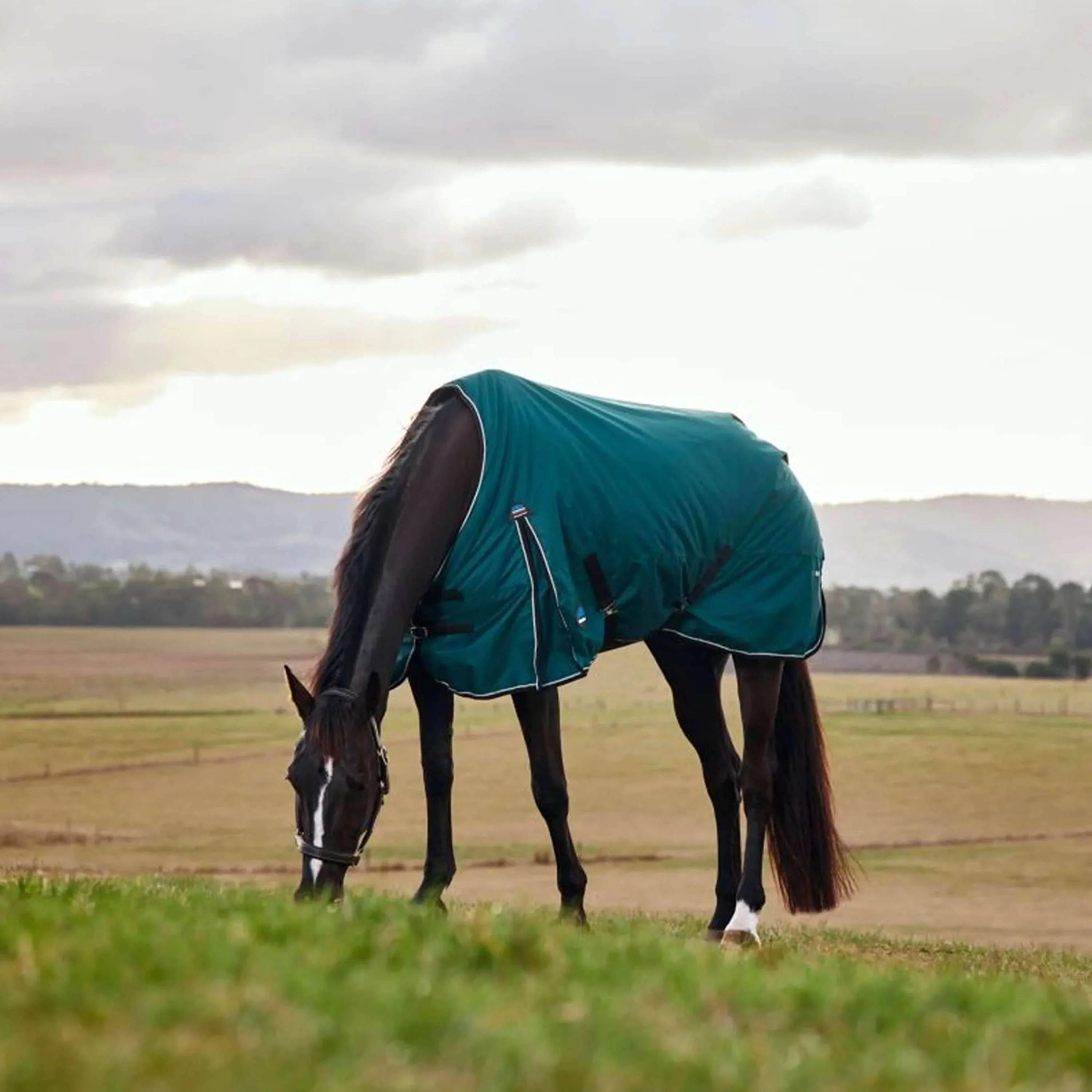 WeatherBeeta ComFiTec Classic Turnout 50 g Forest Green/Black - Image 4