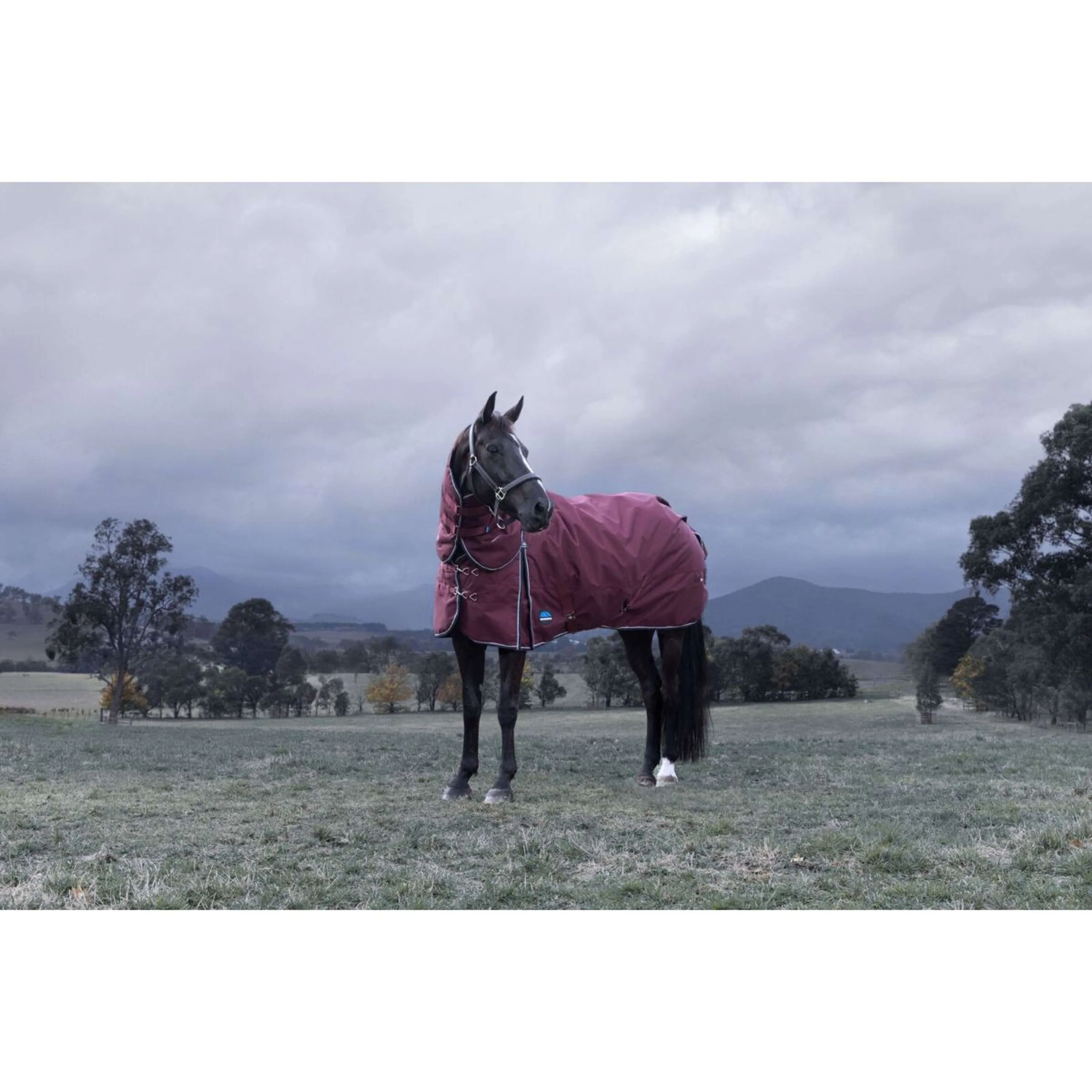 WeatherBeeta ComFiTec Essential Turnout Detach-A-Neck 220 g Borgogna/Marina - Image 12