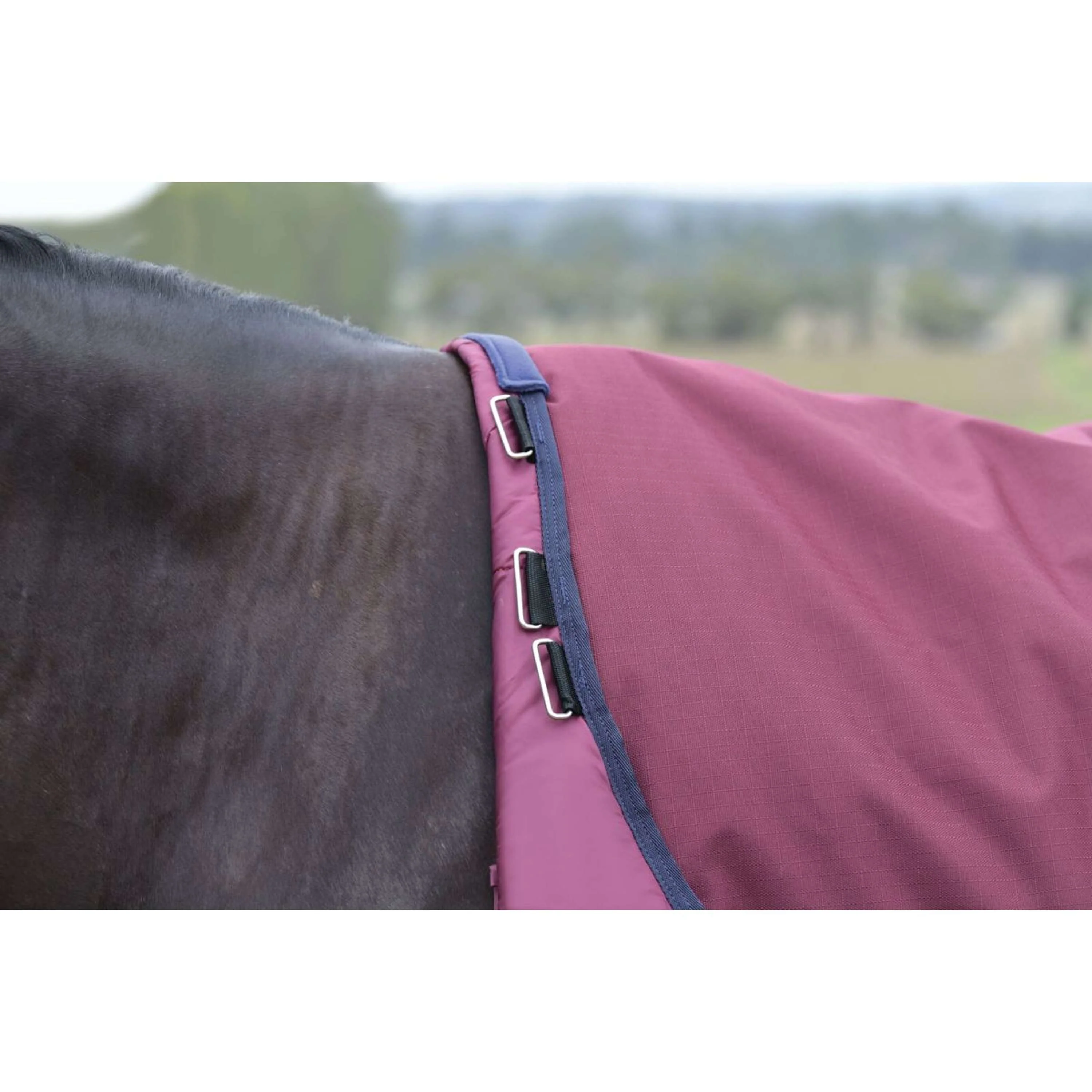 WeatherBeeta ComFiTec Essential Turnout Detach-A-Neck 220 g Borgogna/Marina - Image 5